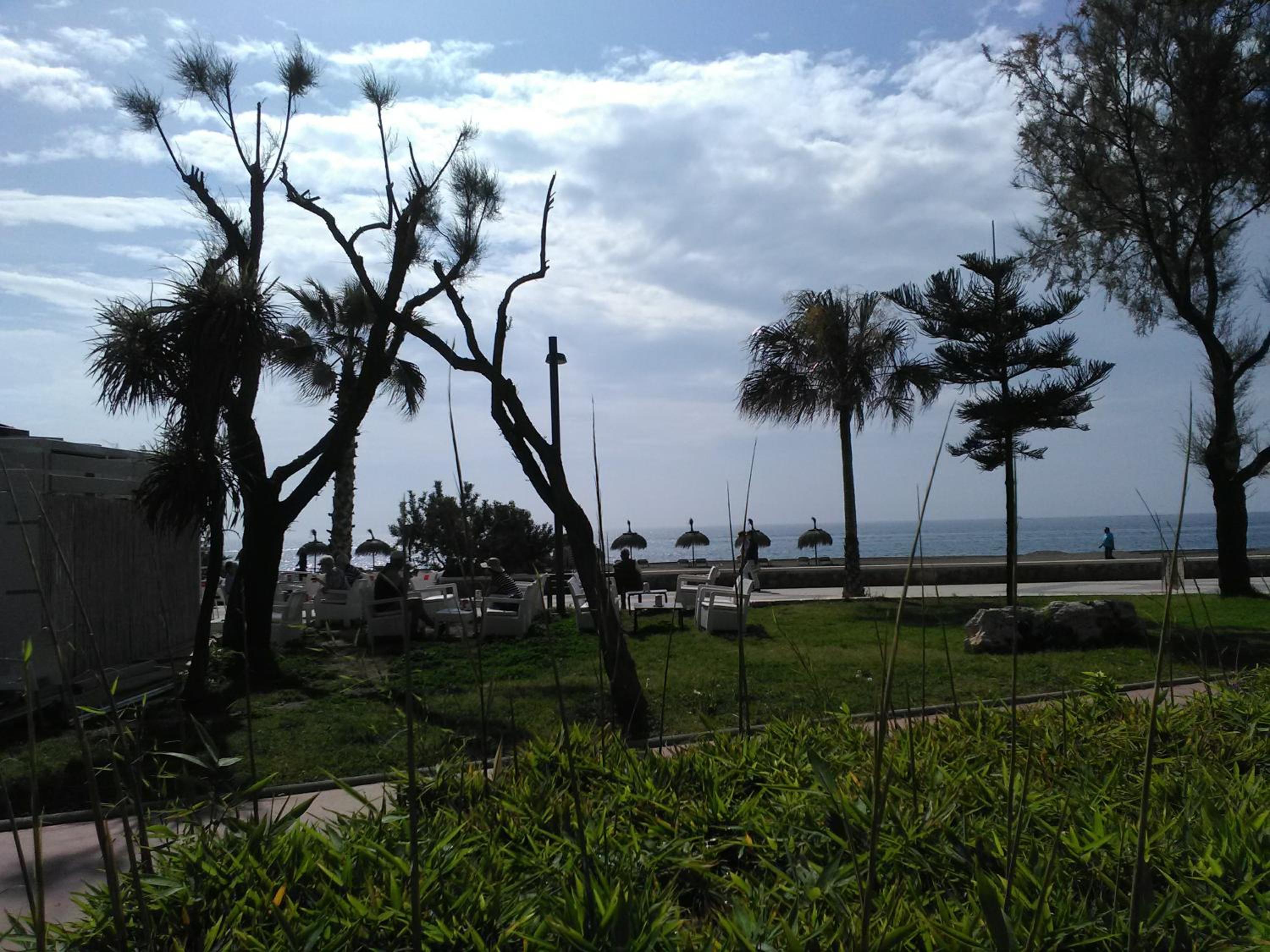 Casa Rosa photo 5