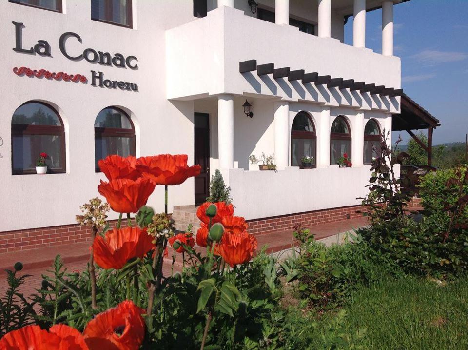La Conac view 2