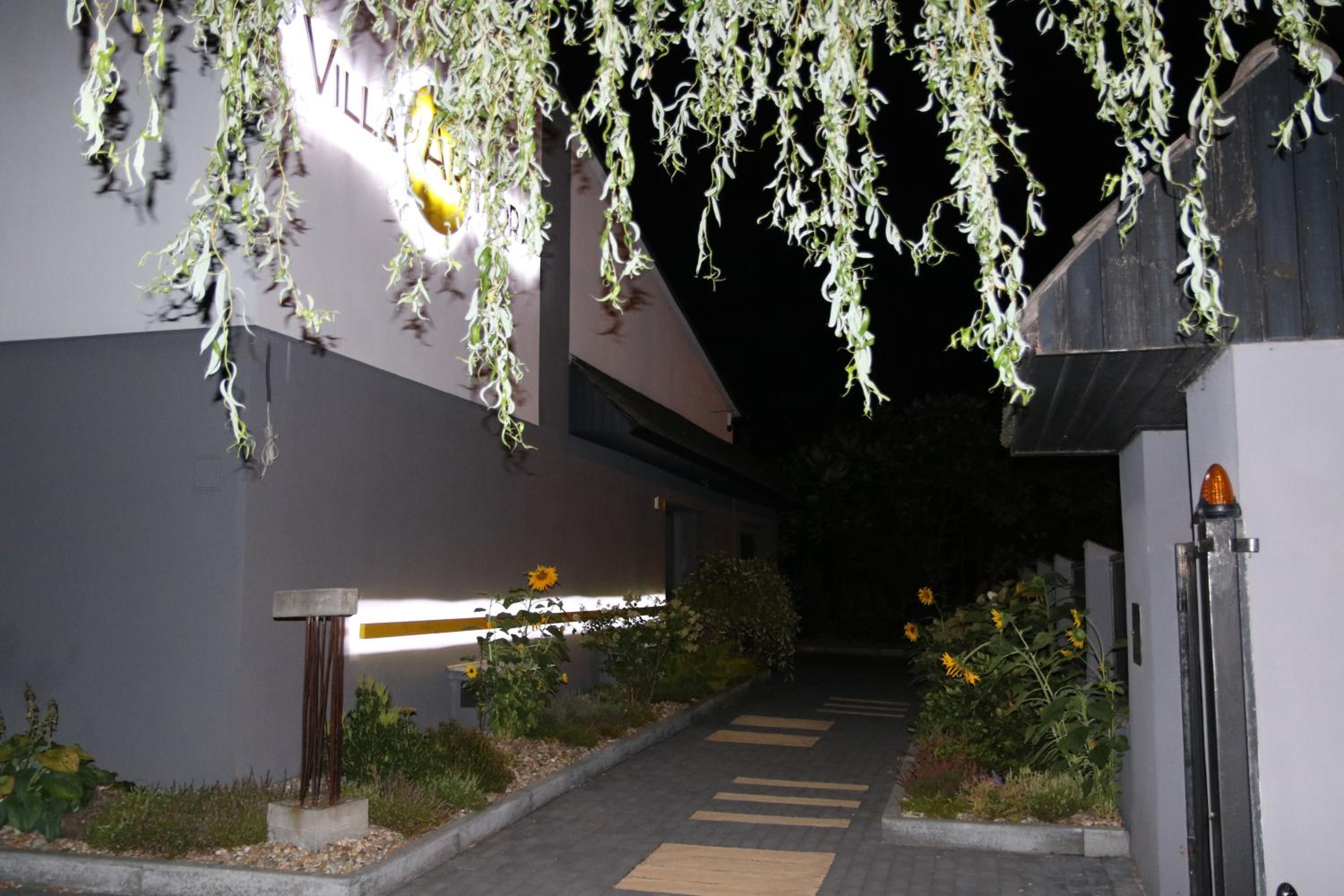 Photo 49