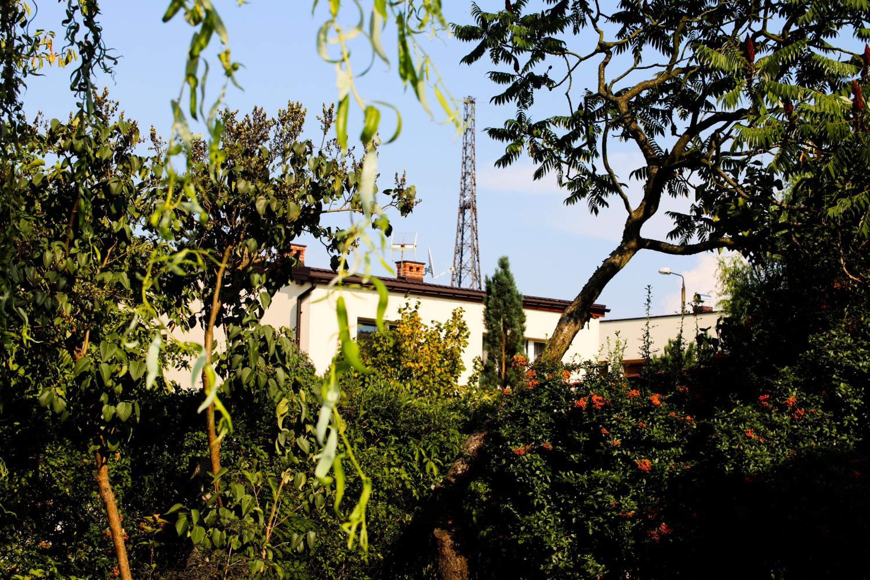 Photo 46