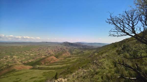 Savane