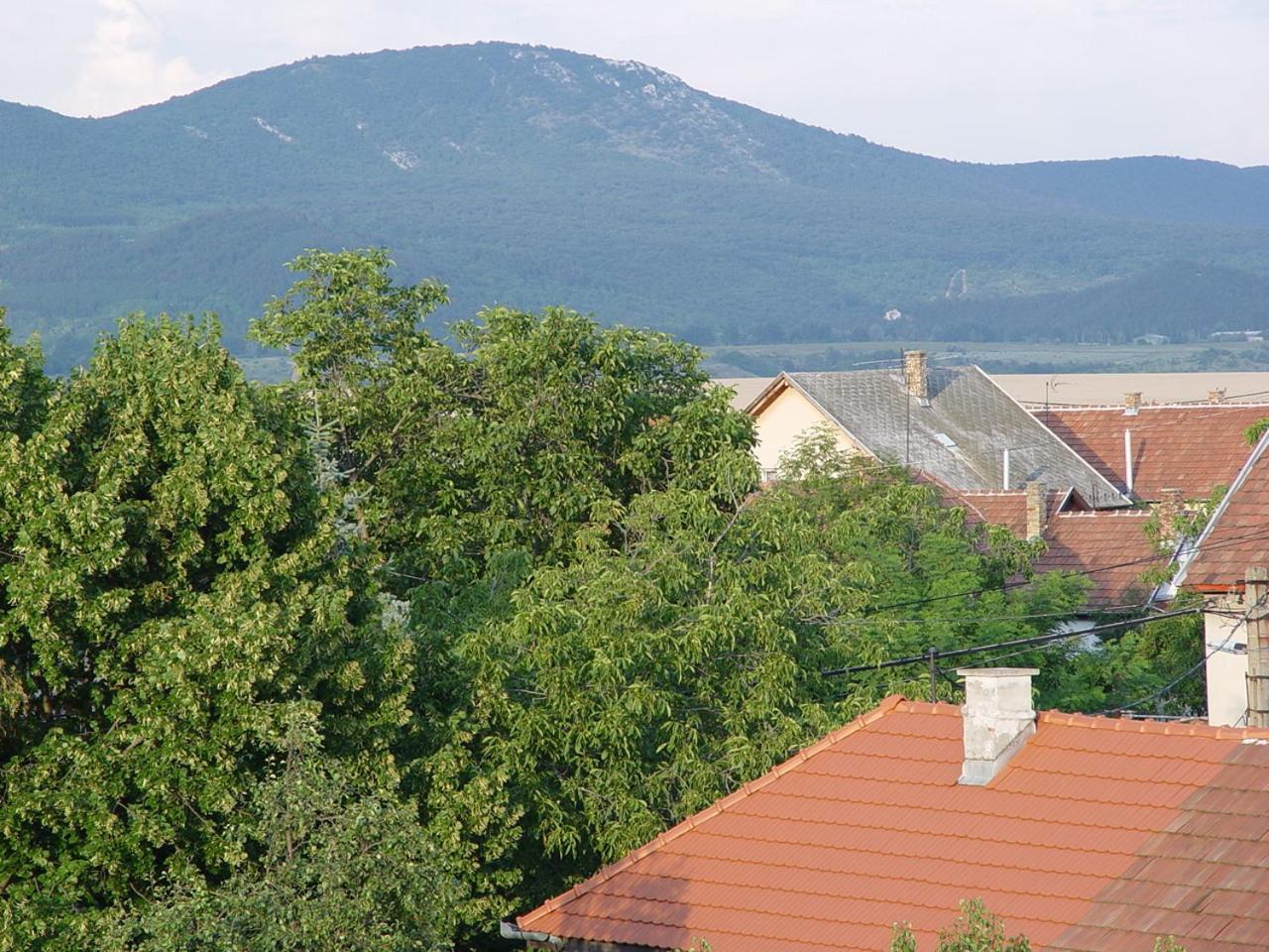 Edelweiss Panzió view 4