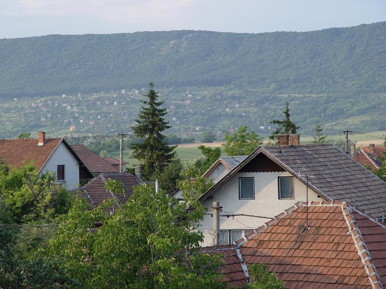 Edelweiss Panzió view 5