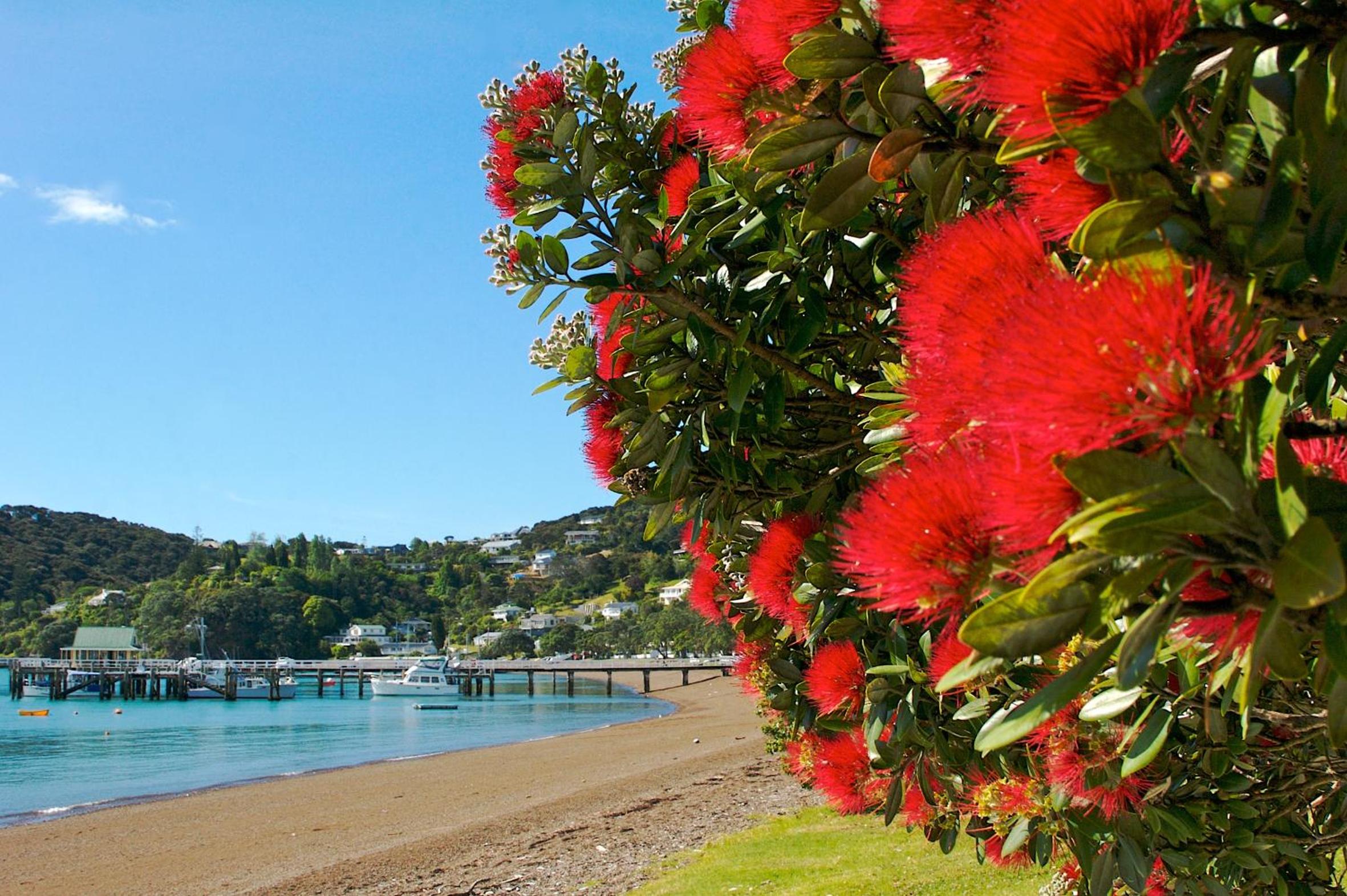 Te Manaaki Villa view 5
