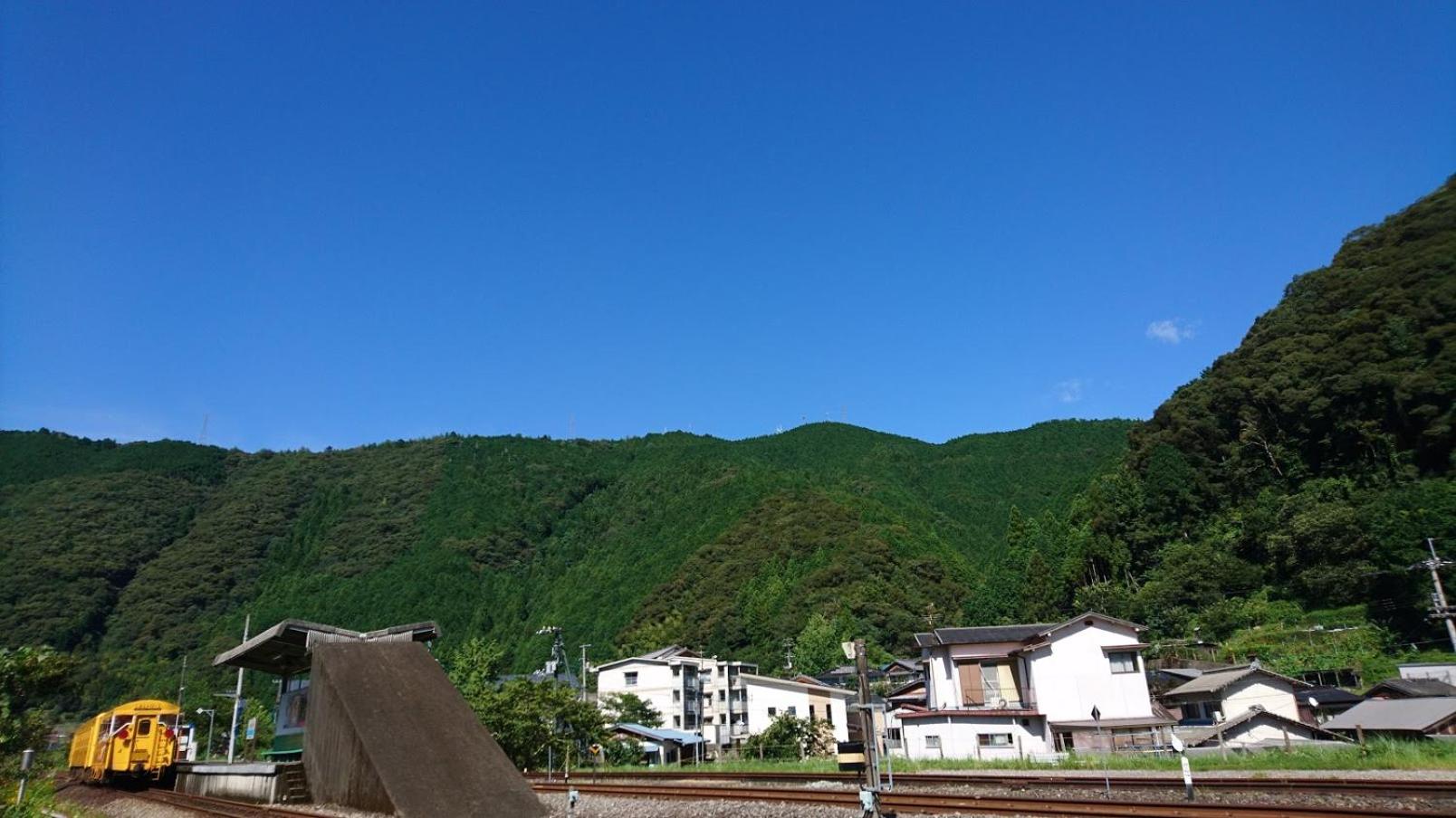 Photo 43