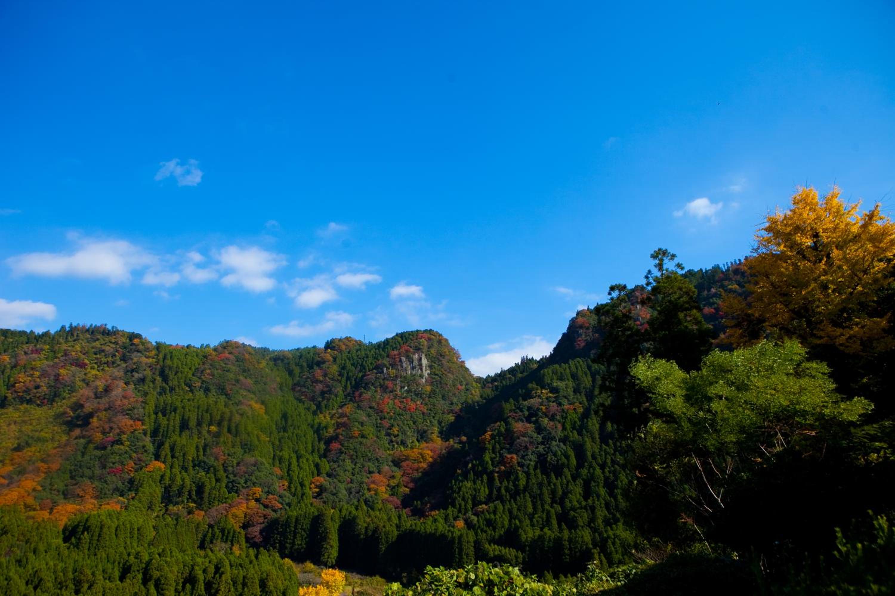 Okuhita Onsen Umehibiki