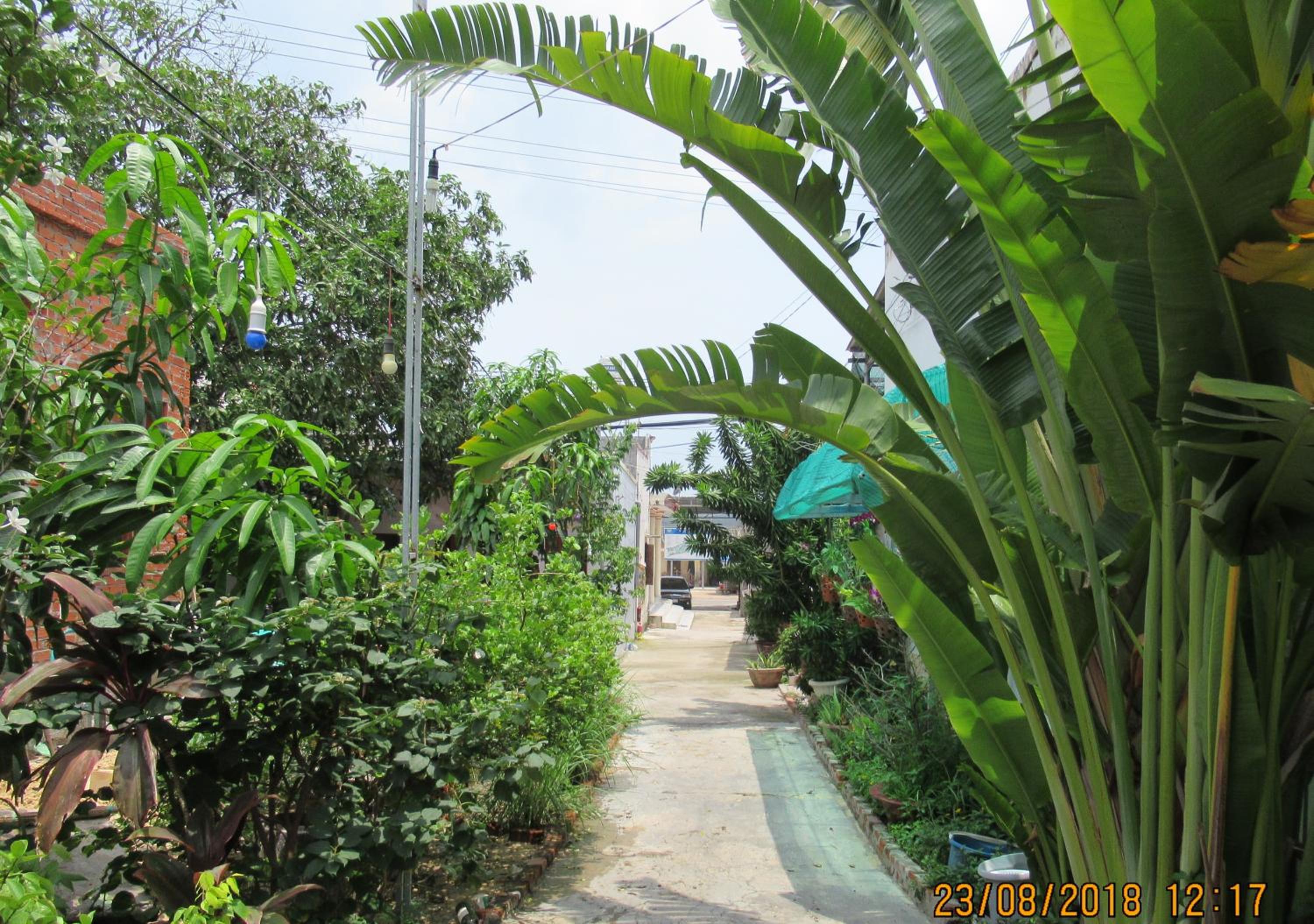 Photo 58