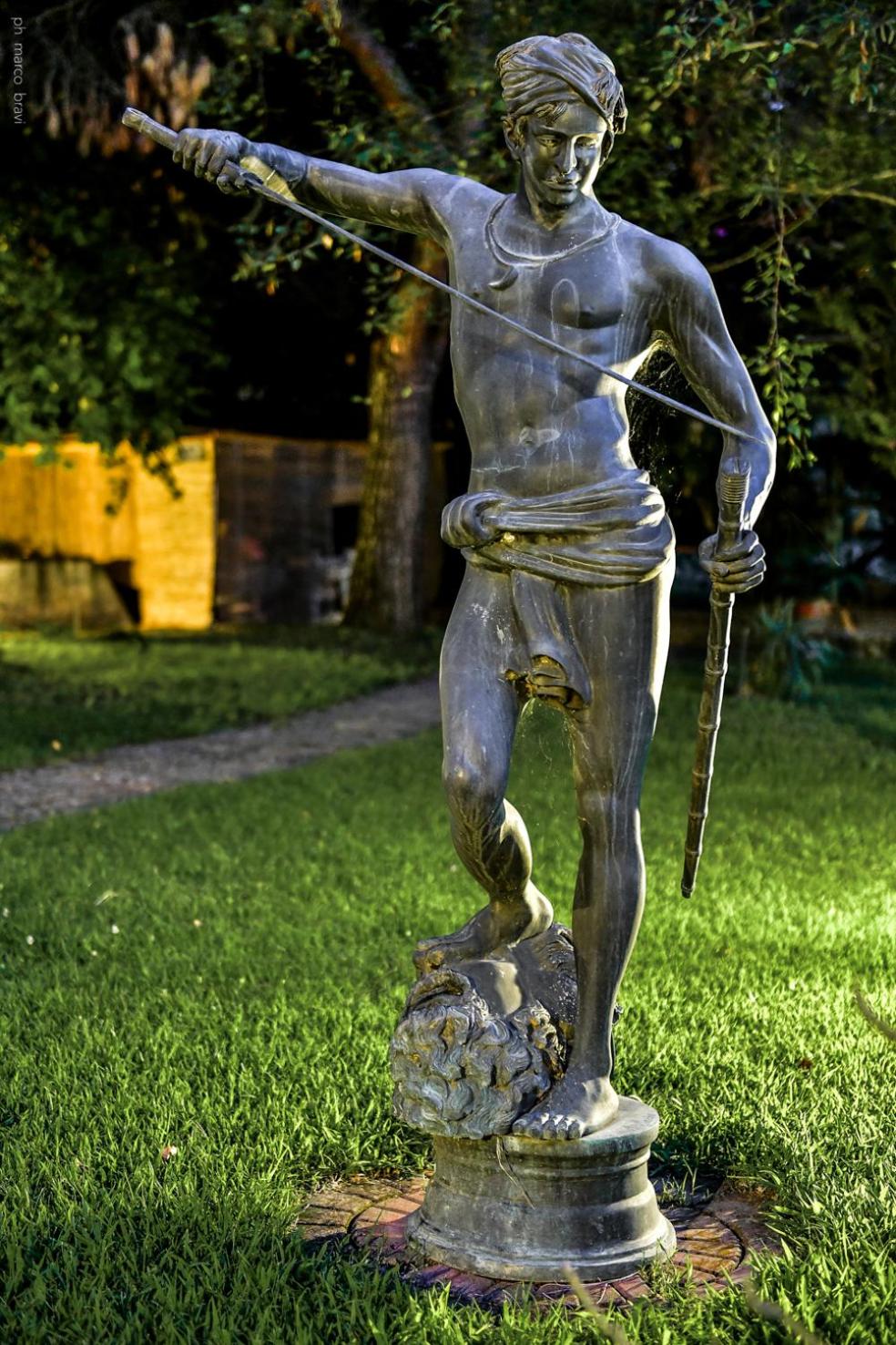 Photo 41