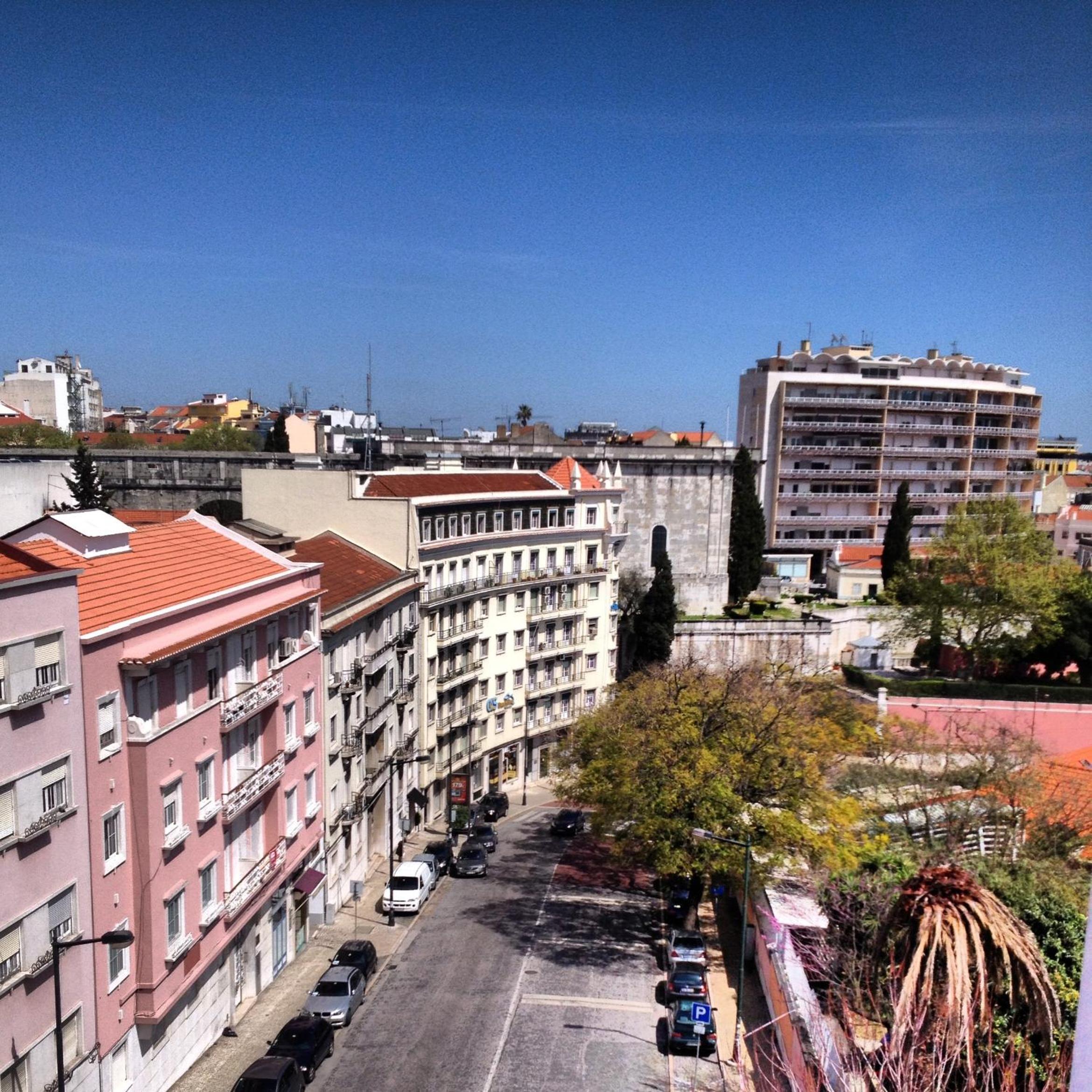 V Dinastia
