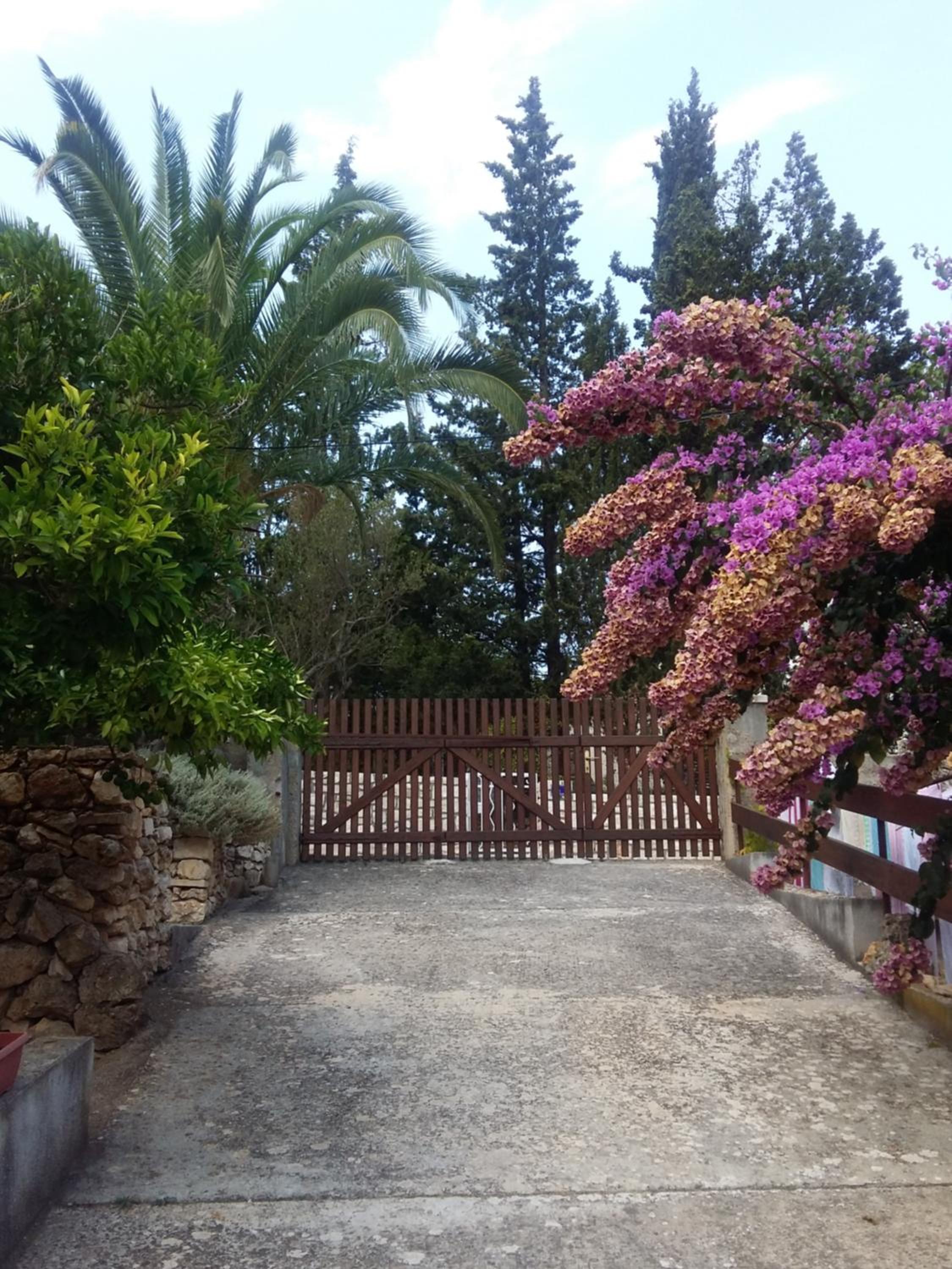 Photo 42