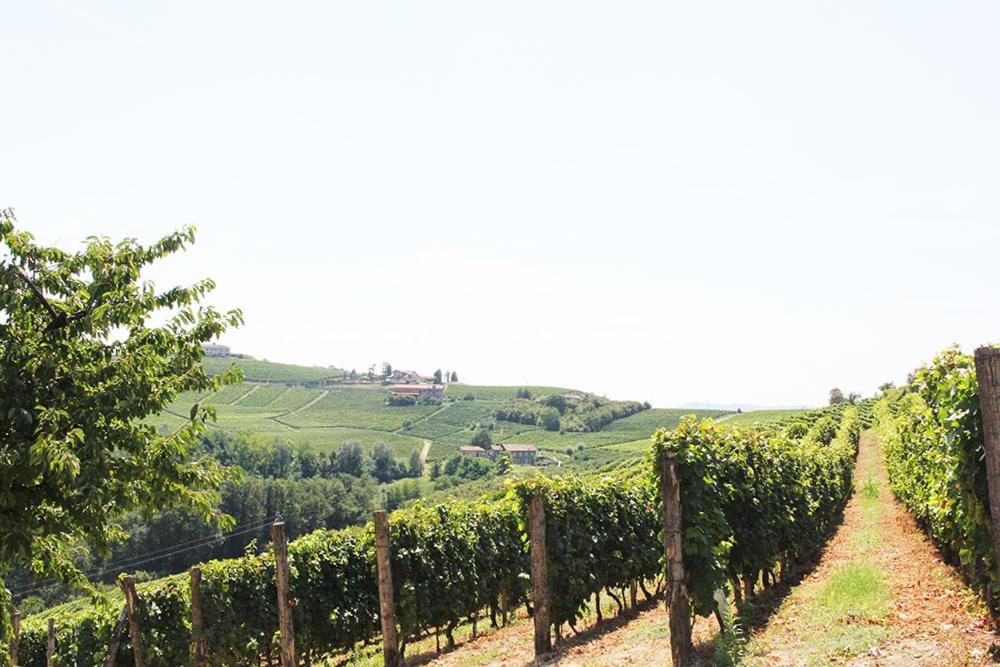 CA' DIJ SARACH view 5
