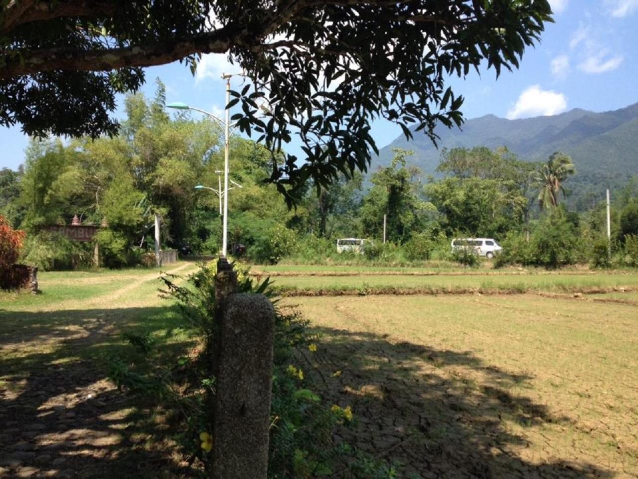 Photo 29