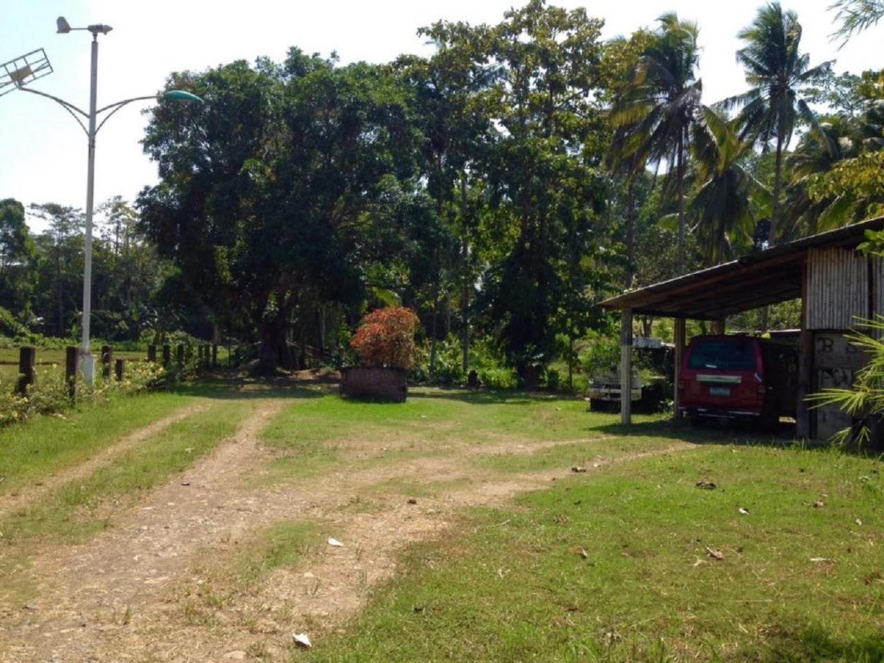 Photo 27