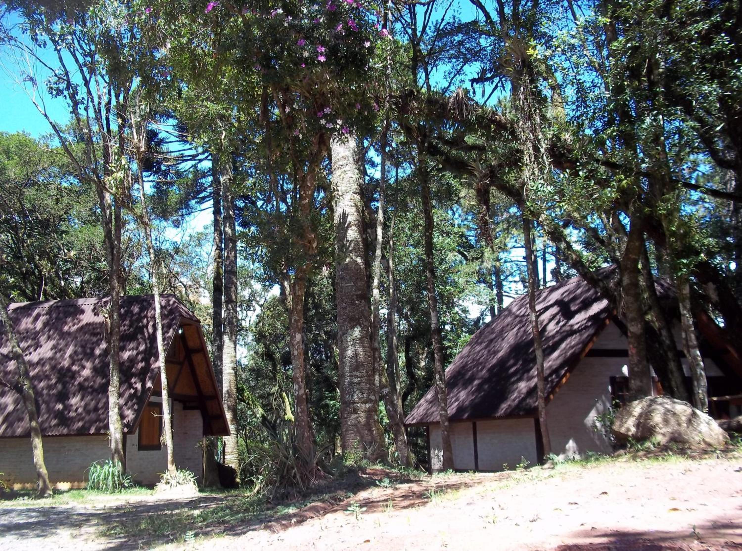 Ecos da Terra Chalés