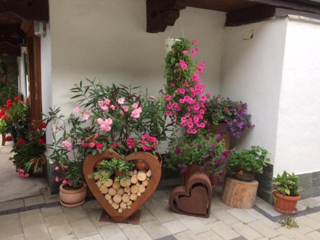 Gasthof Waldrast view 3