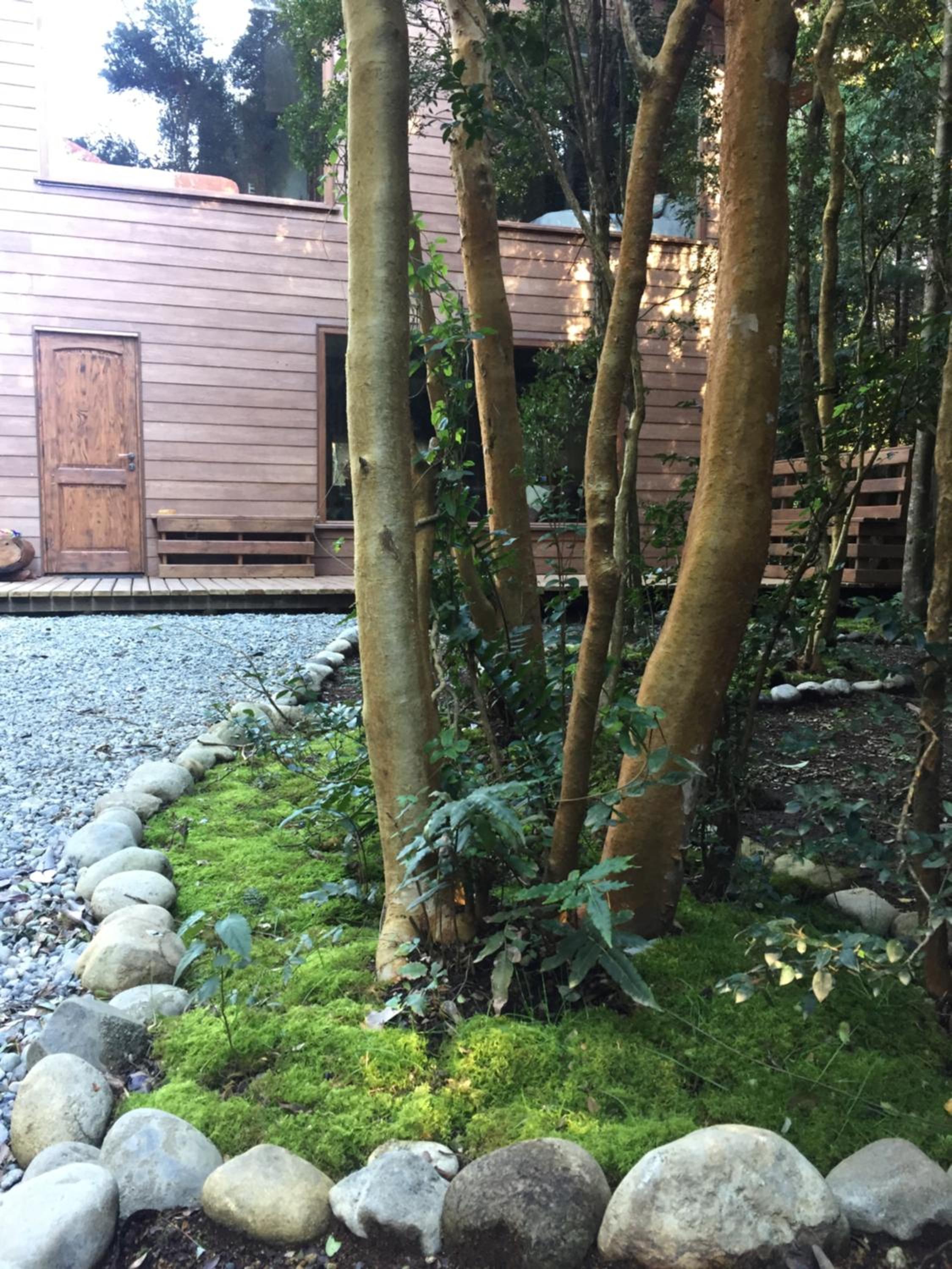 DreamWoods