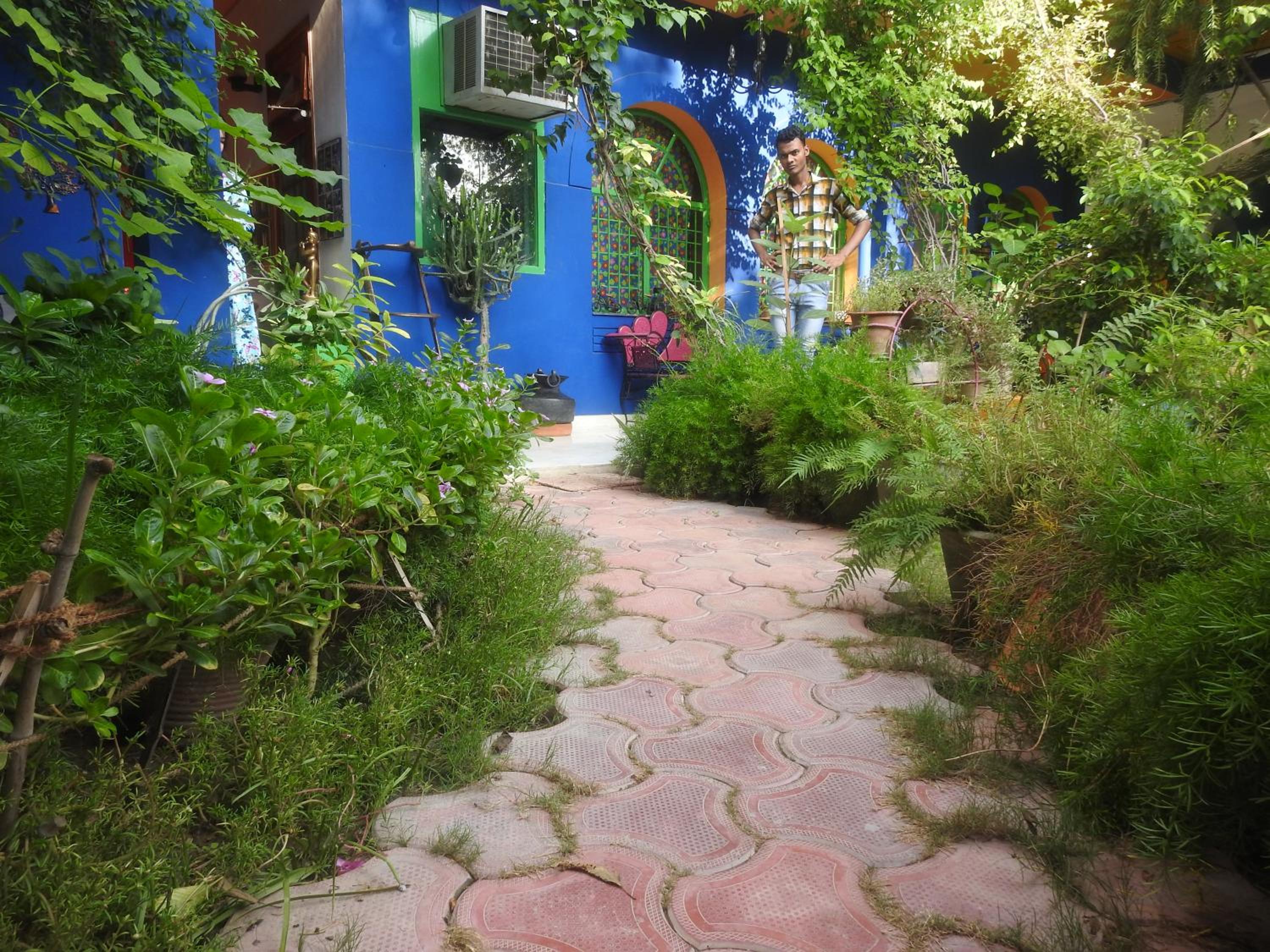 The Coral Tree Boutique Homestay