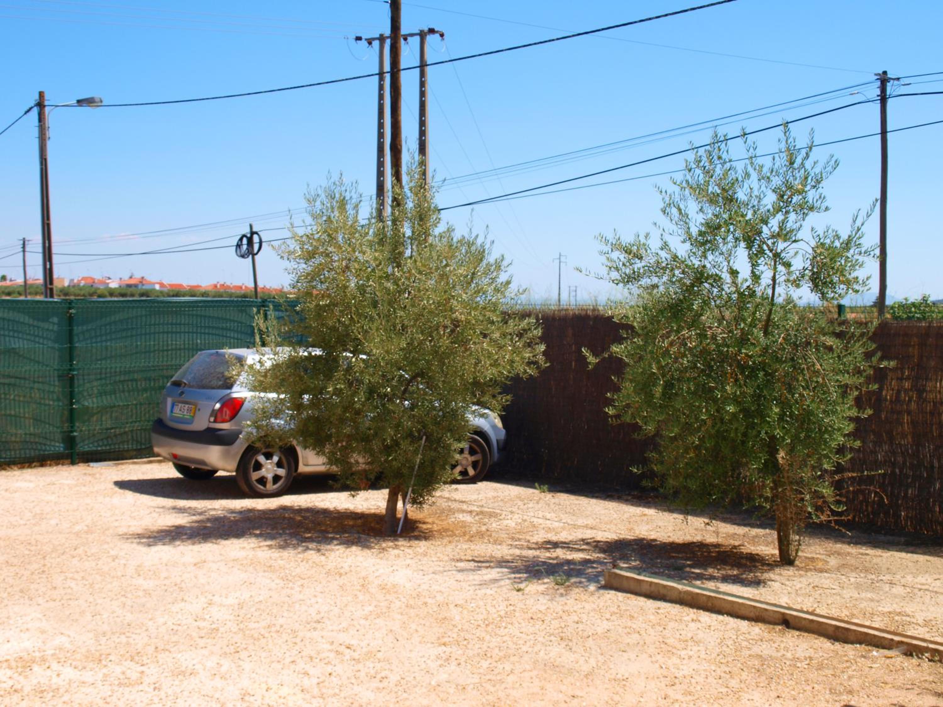 Photo 28