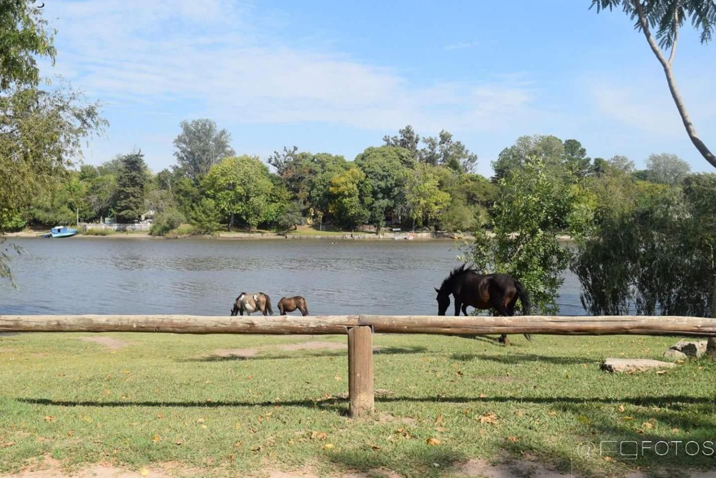 Casa En Gualeguaychu