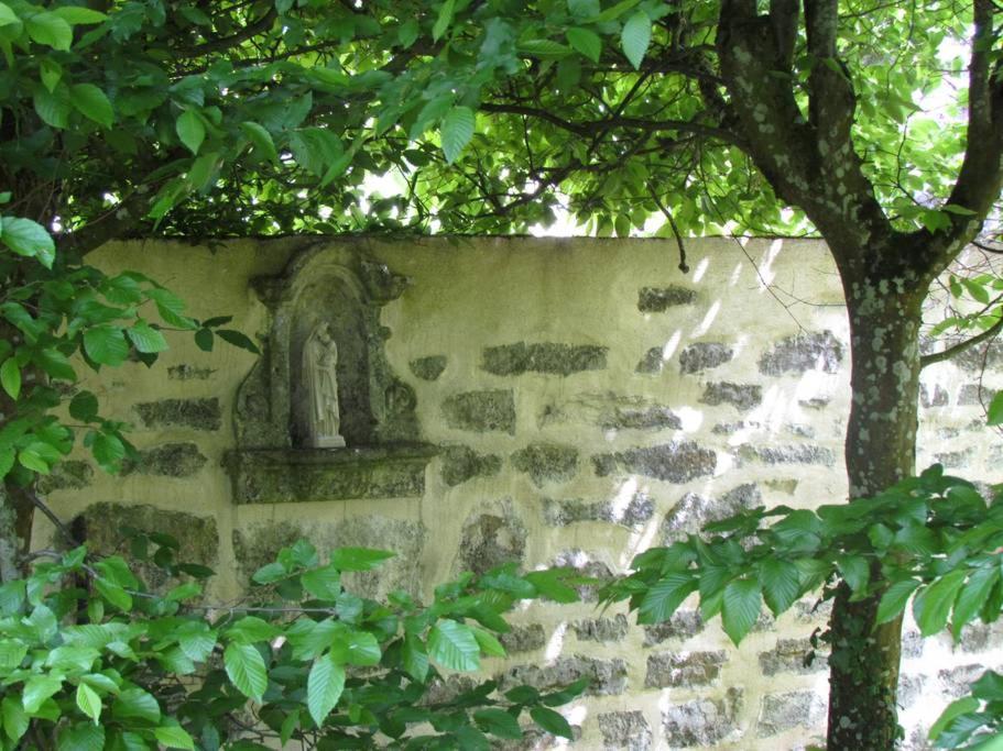 Photo 24