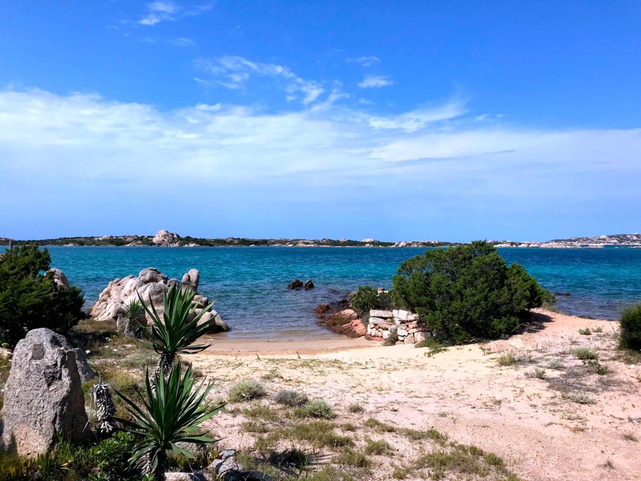 Villa Maddalena - Giardinelli