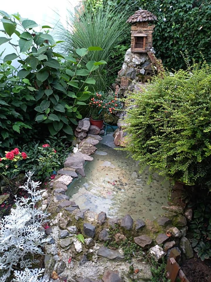 Photo 33