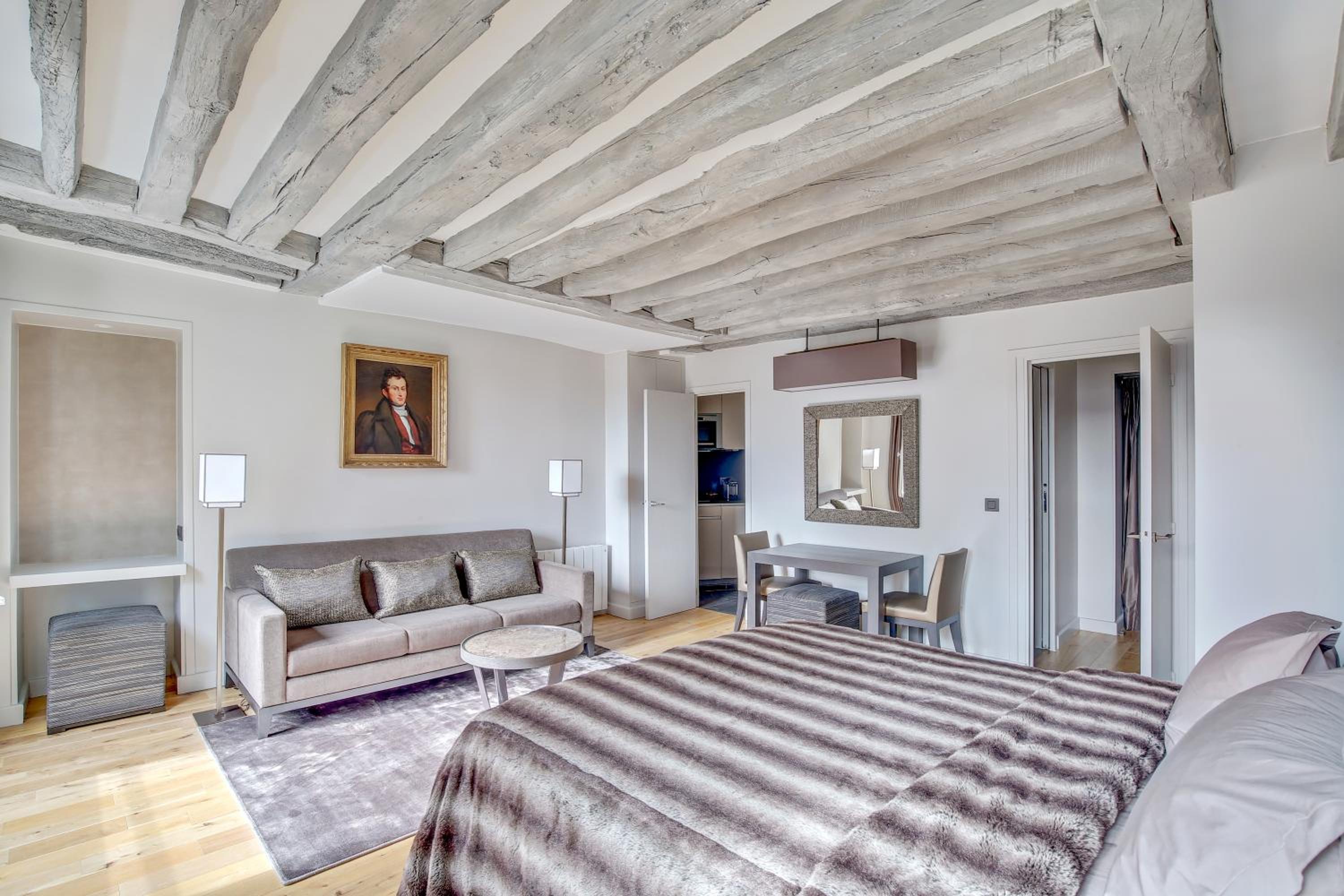 Luxury Apartment Paris Louvre