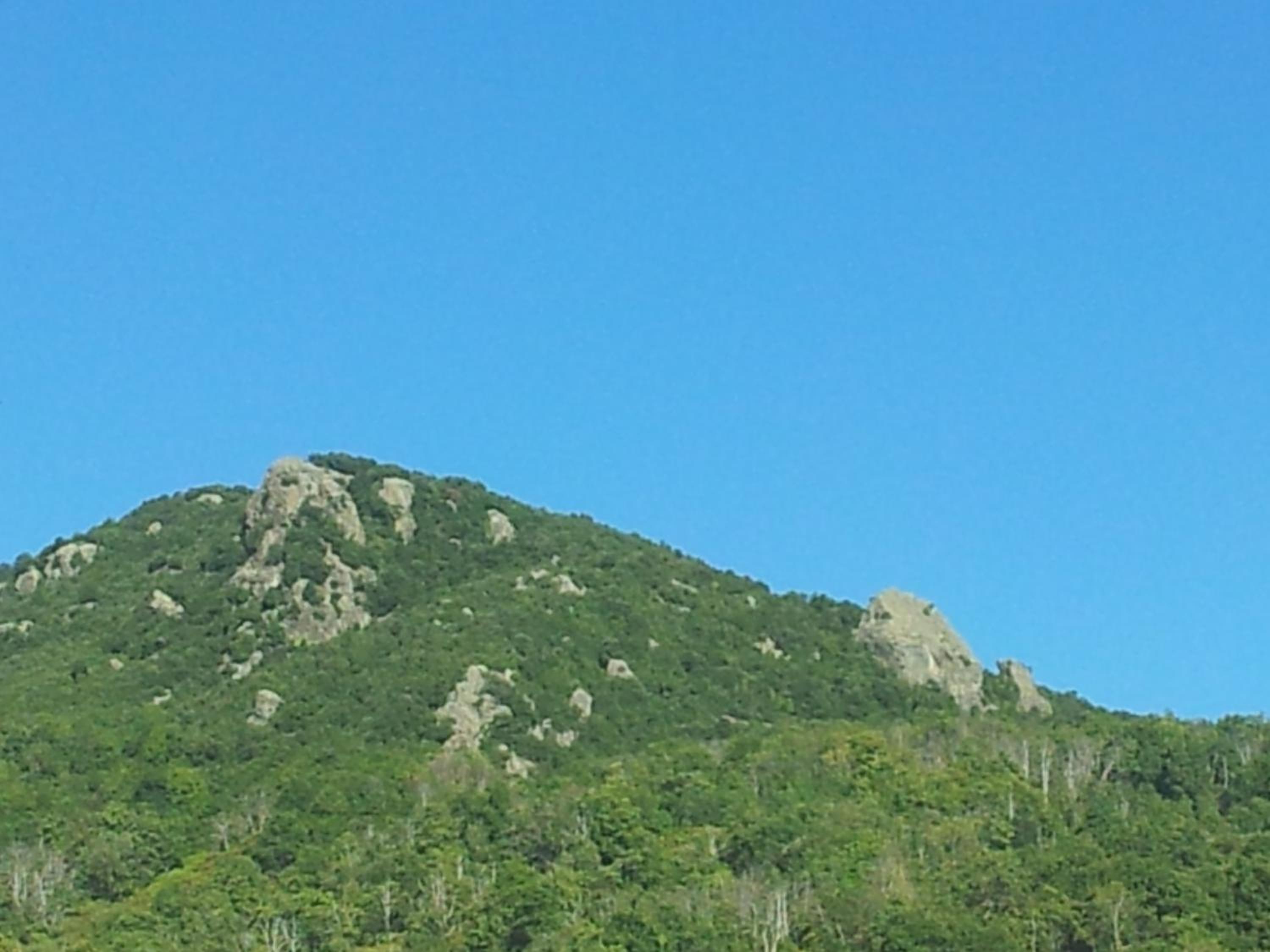 English Club in Corsica A