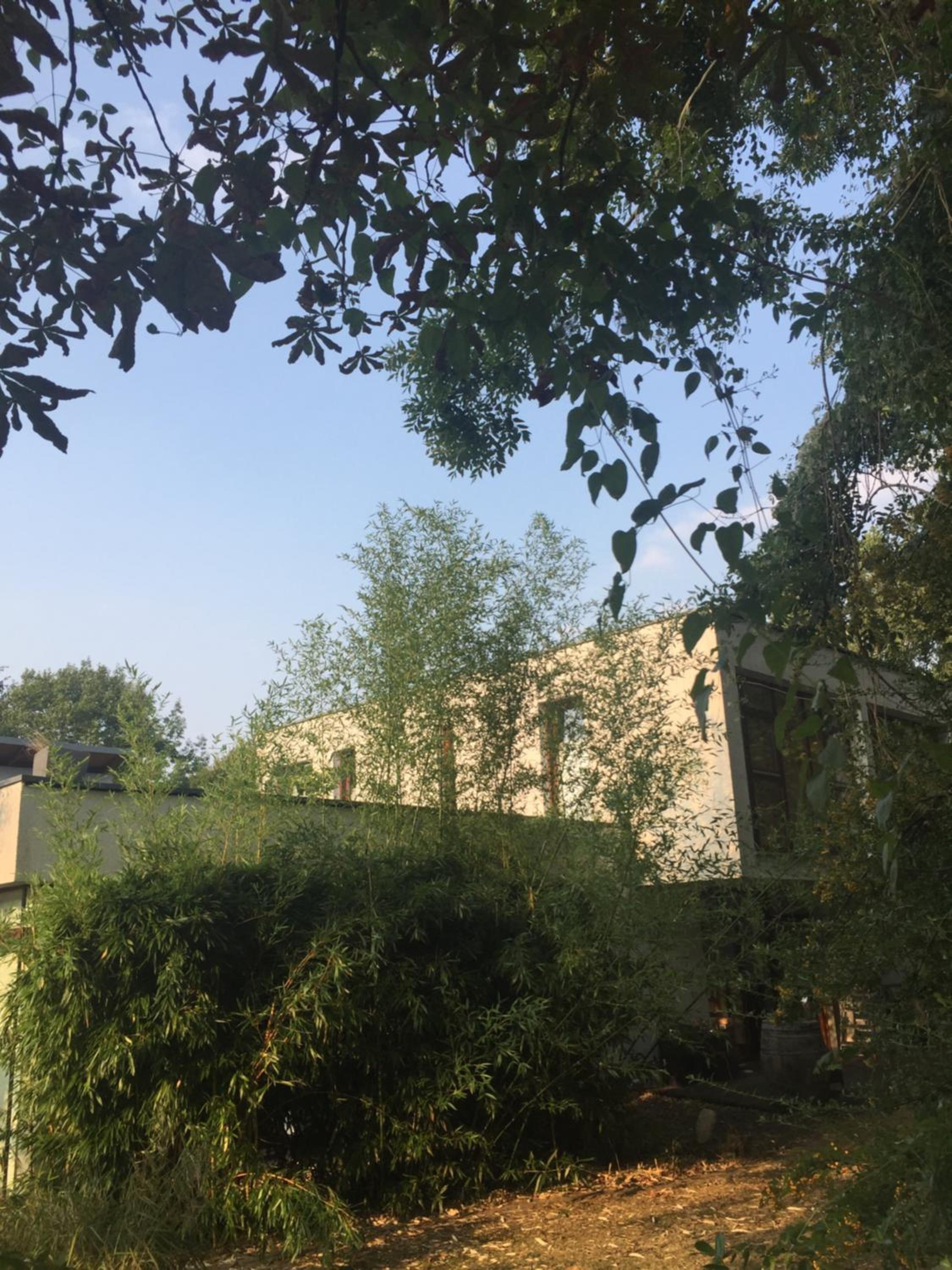 Photo 29