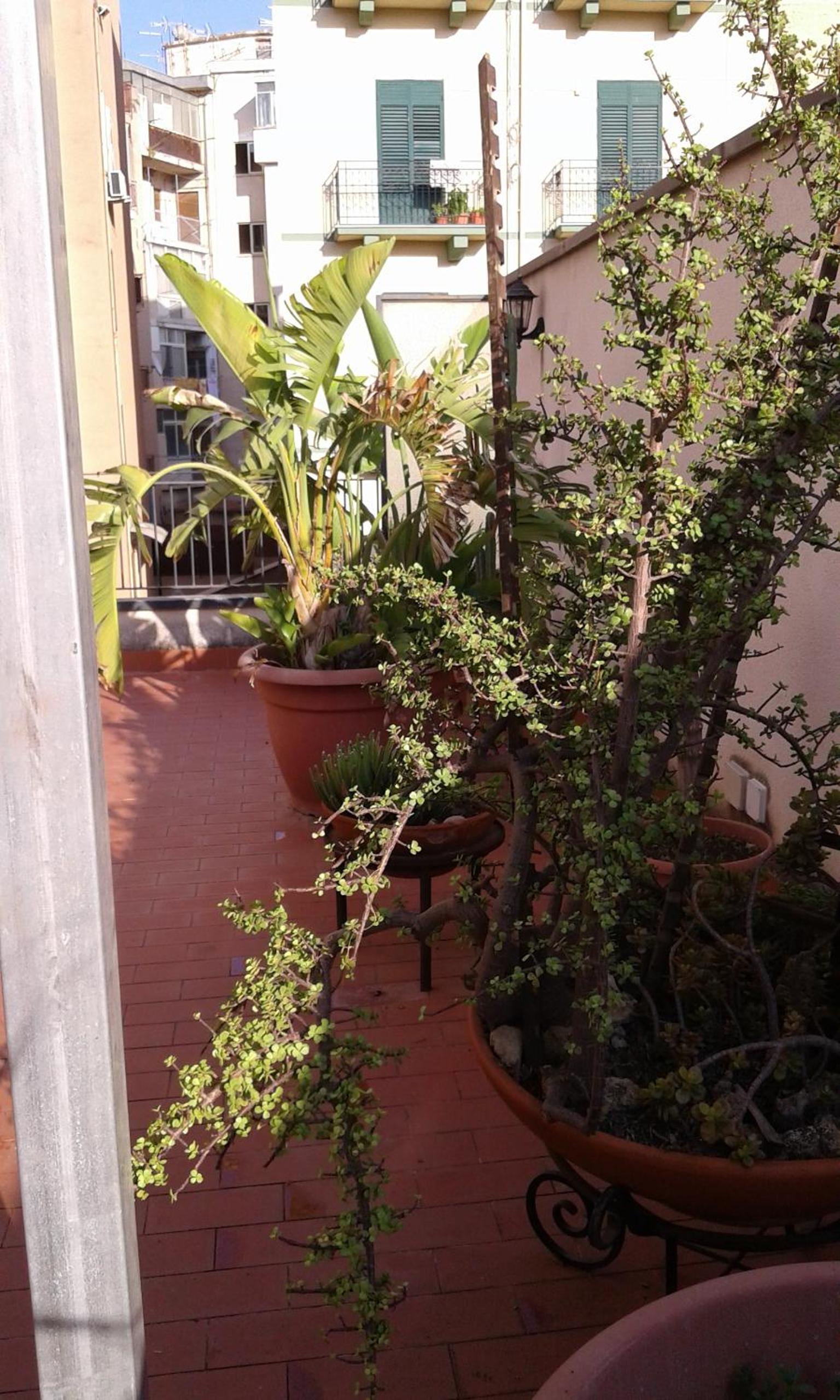 Photo 35