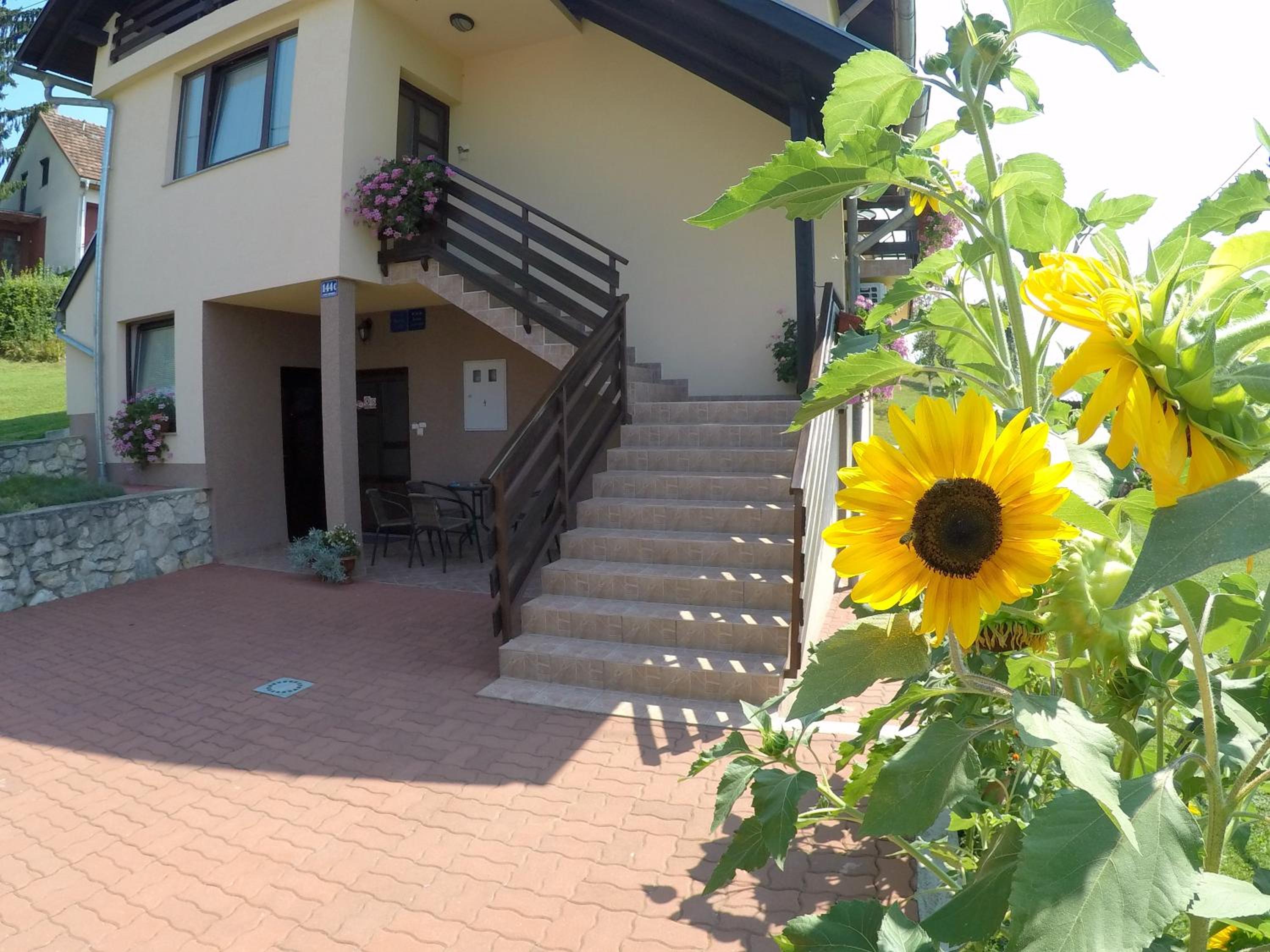 Apartment Ante