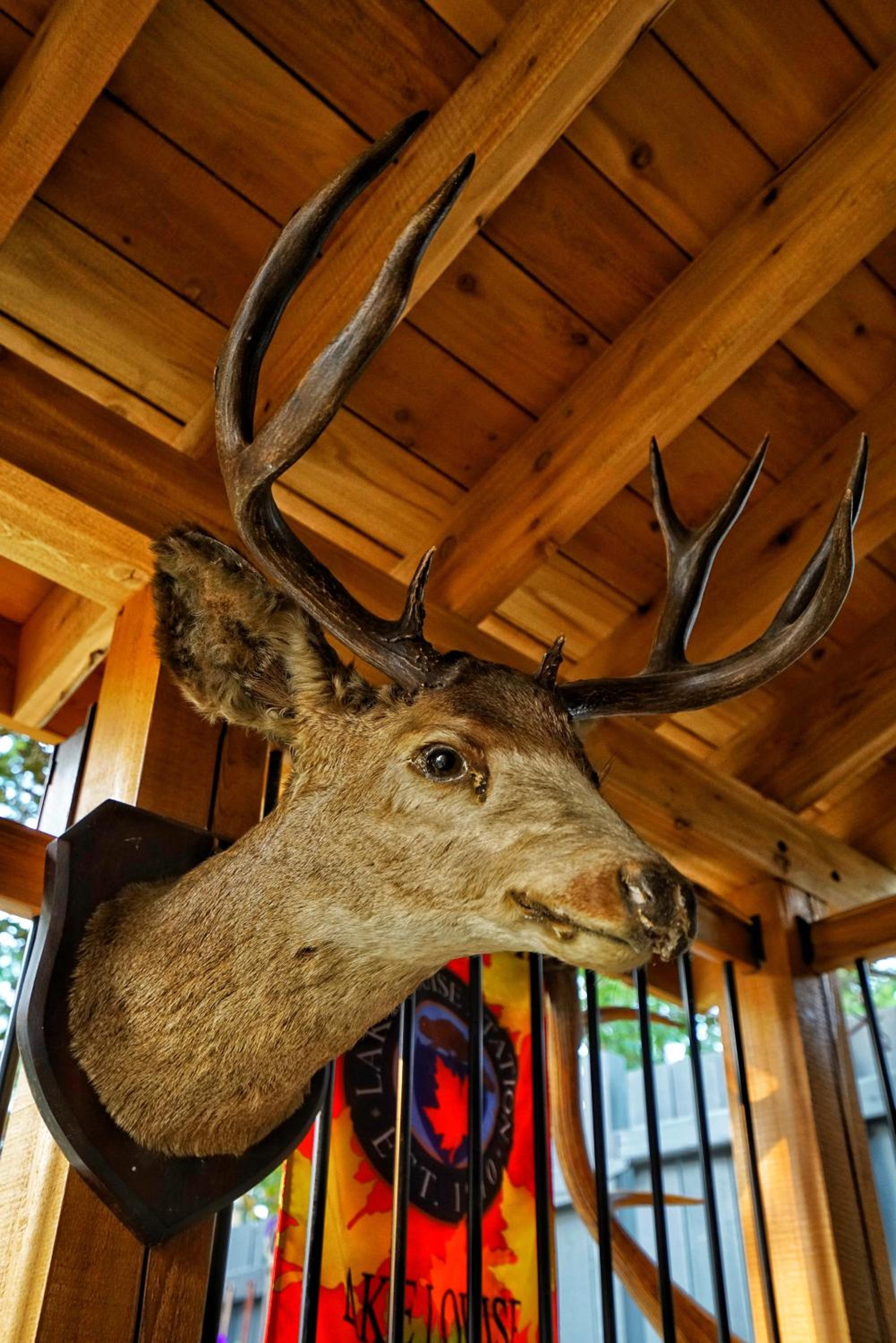 Deer Ridge B&B