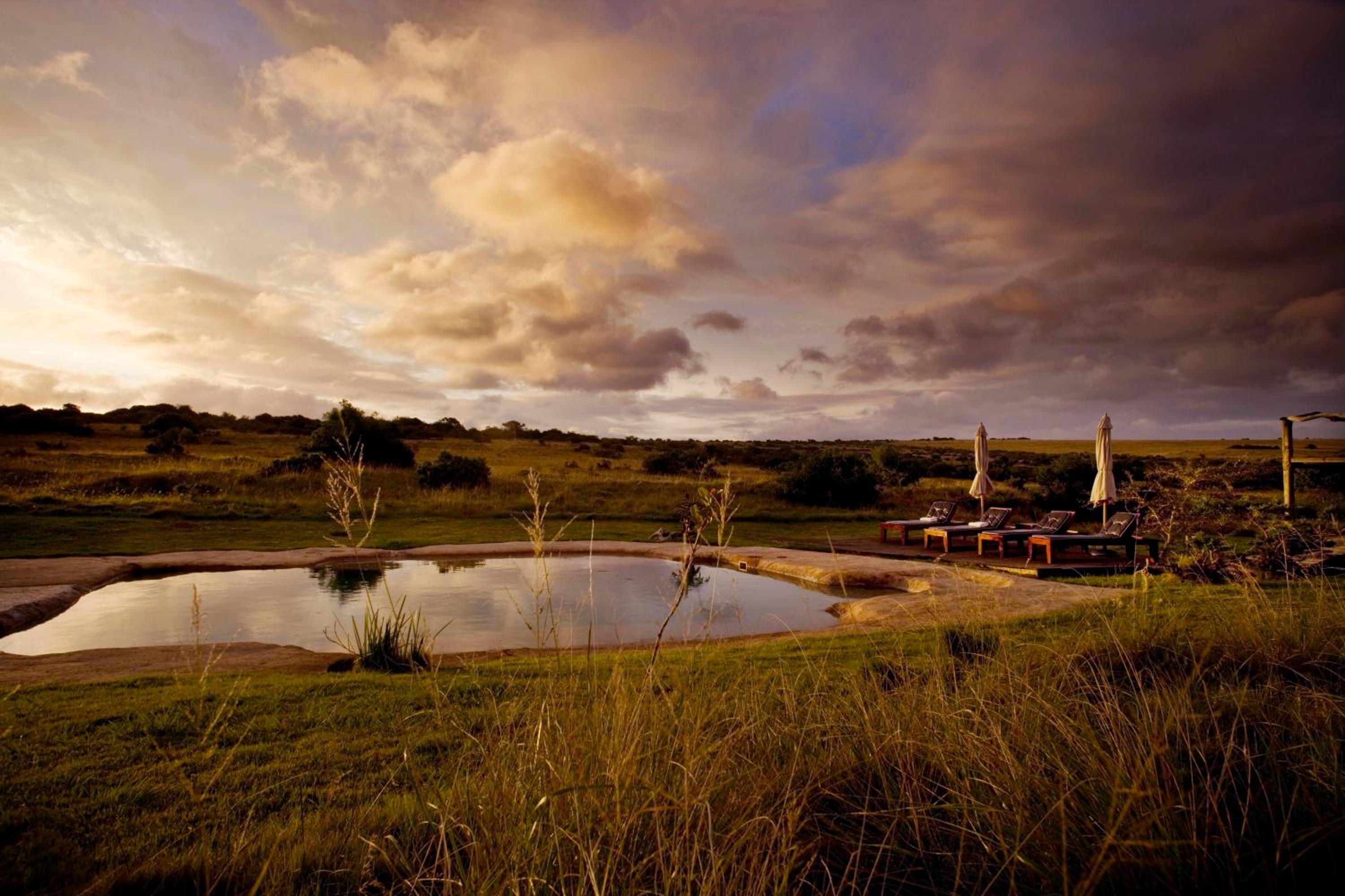 Hlosi Game Lodge - Amakhala Game Reserve view 2