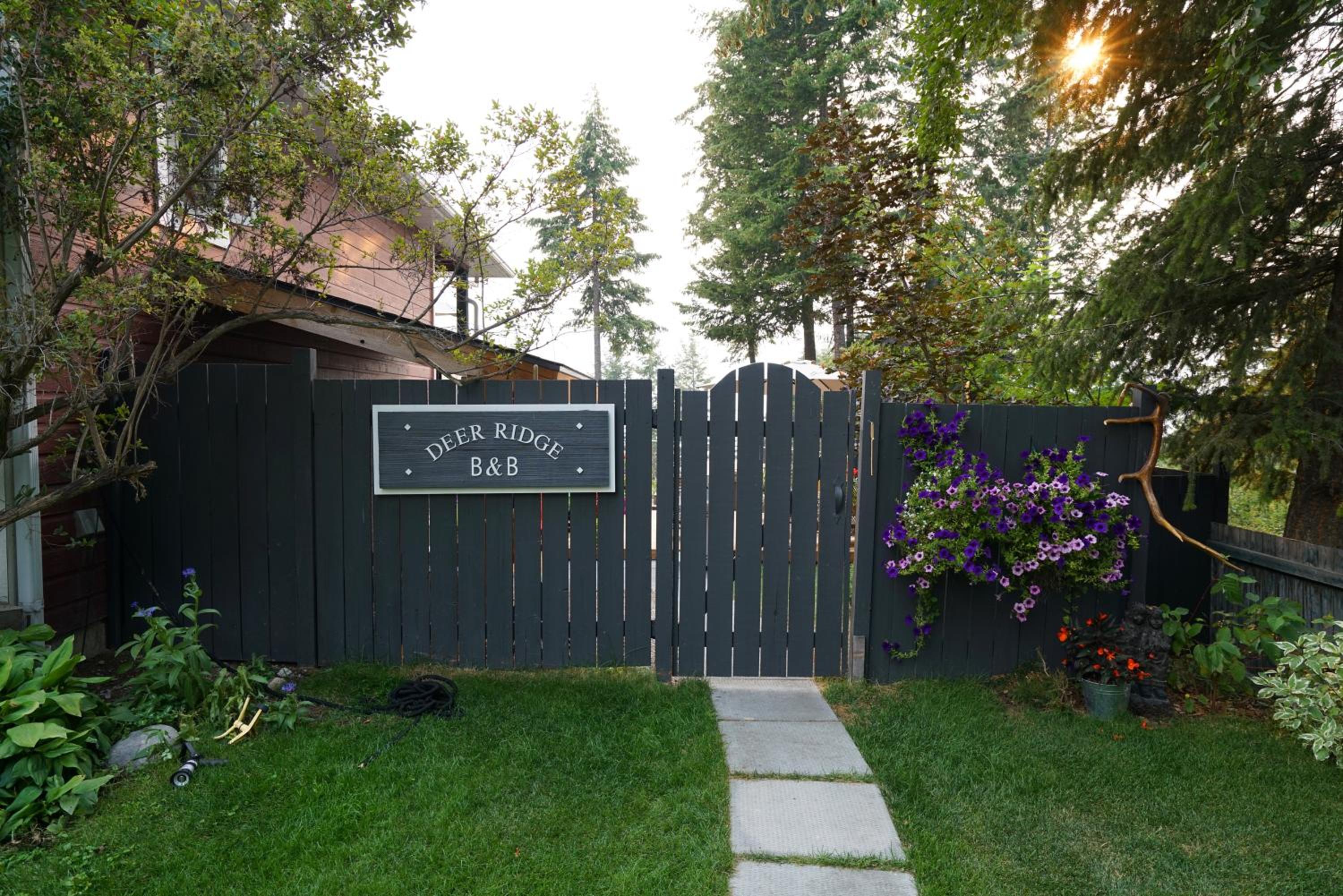 Deer Ridge B&B