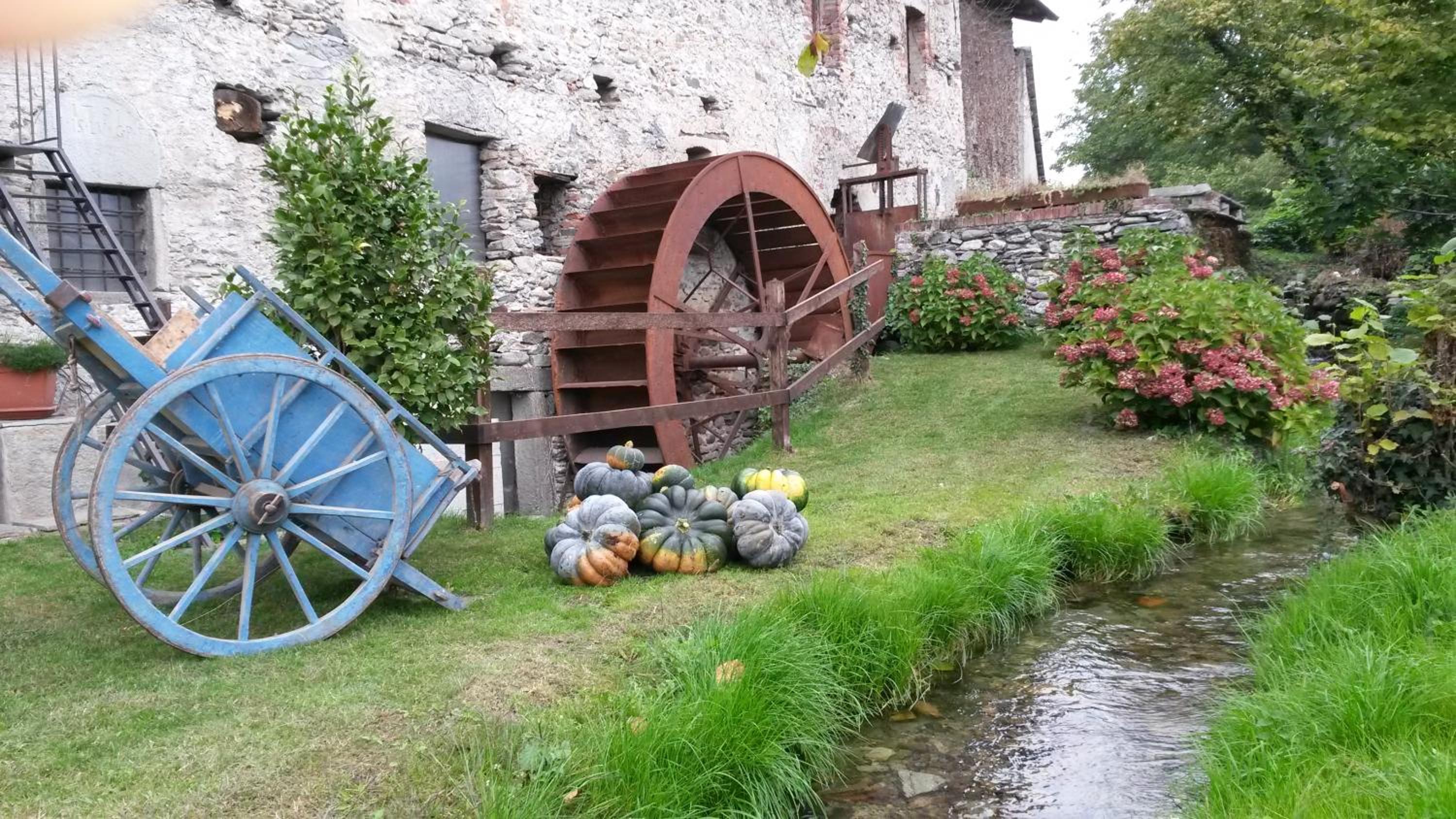 B&B Il Mulino view 4