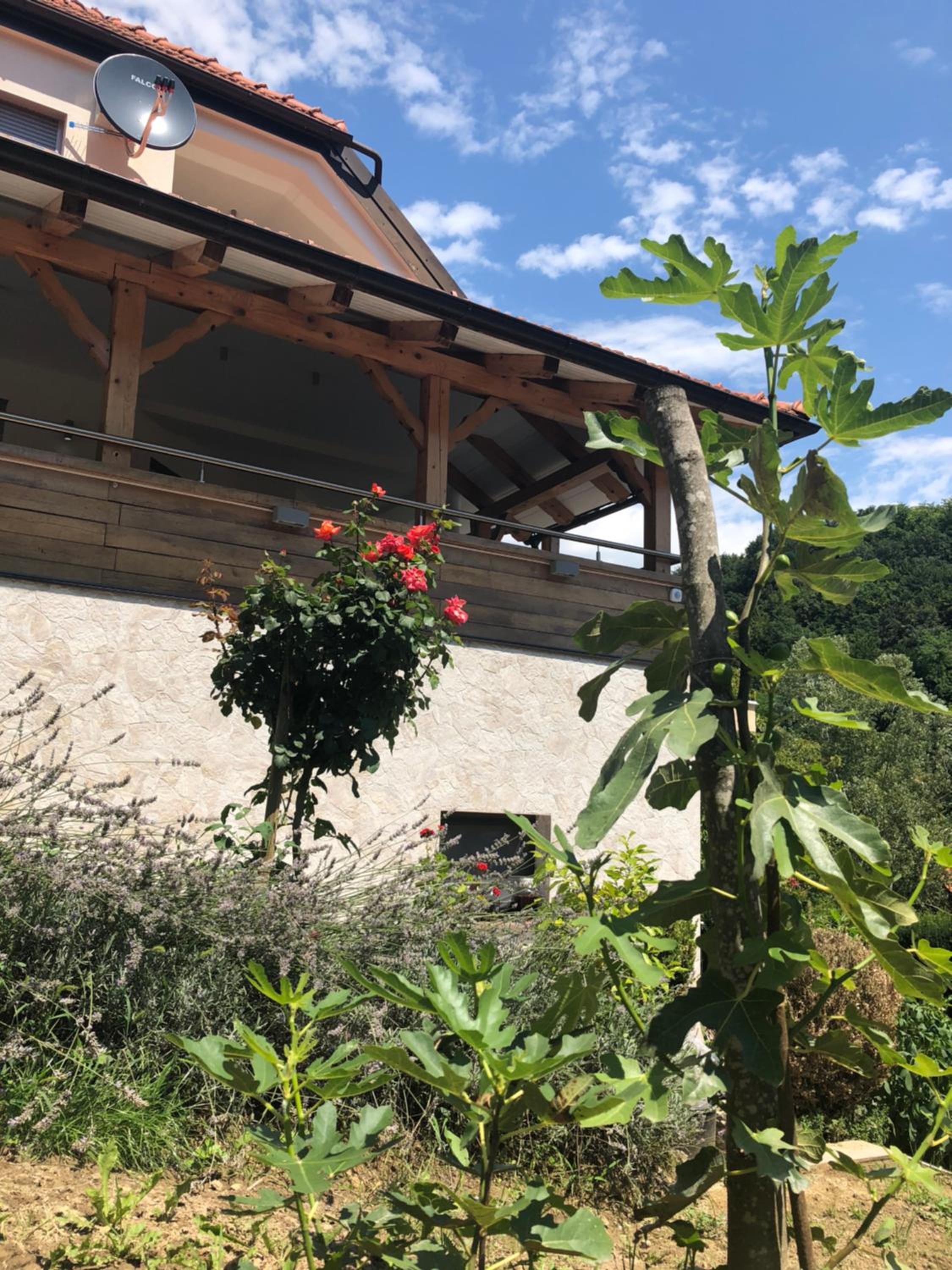 Hotel Apartmani Izvor - Tuheljske Toplice - Image 1