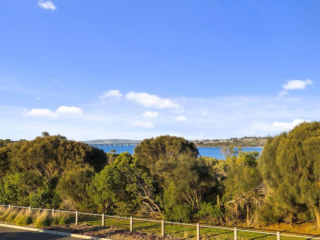 Bunya By The Sea