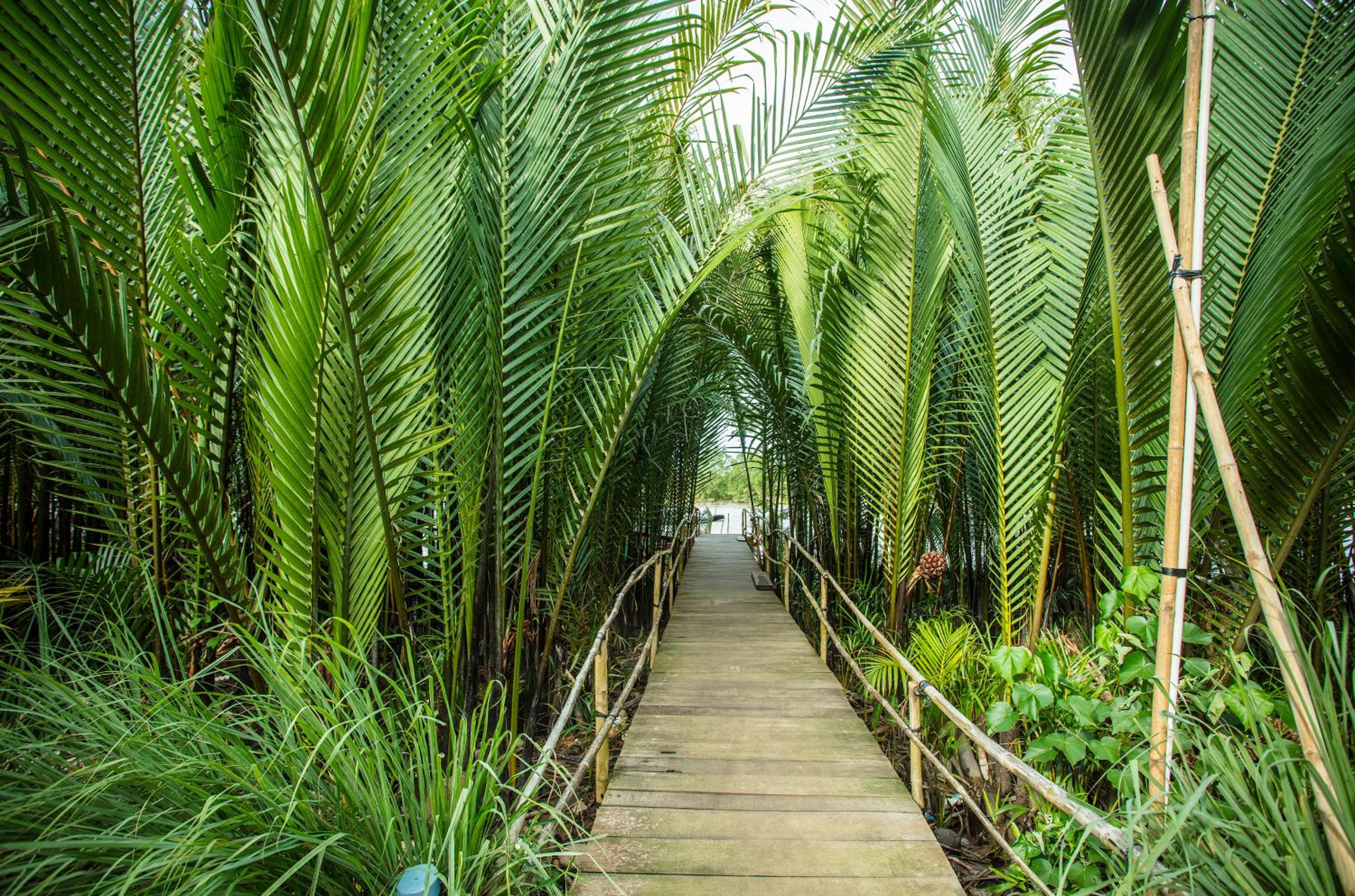 Mekong Home