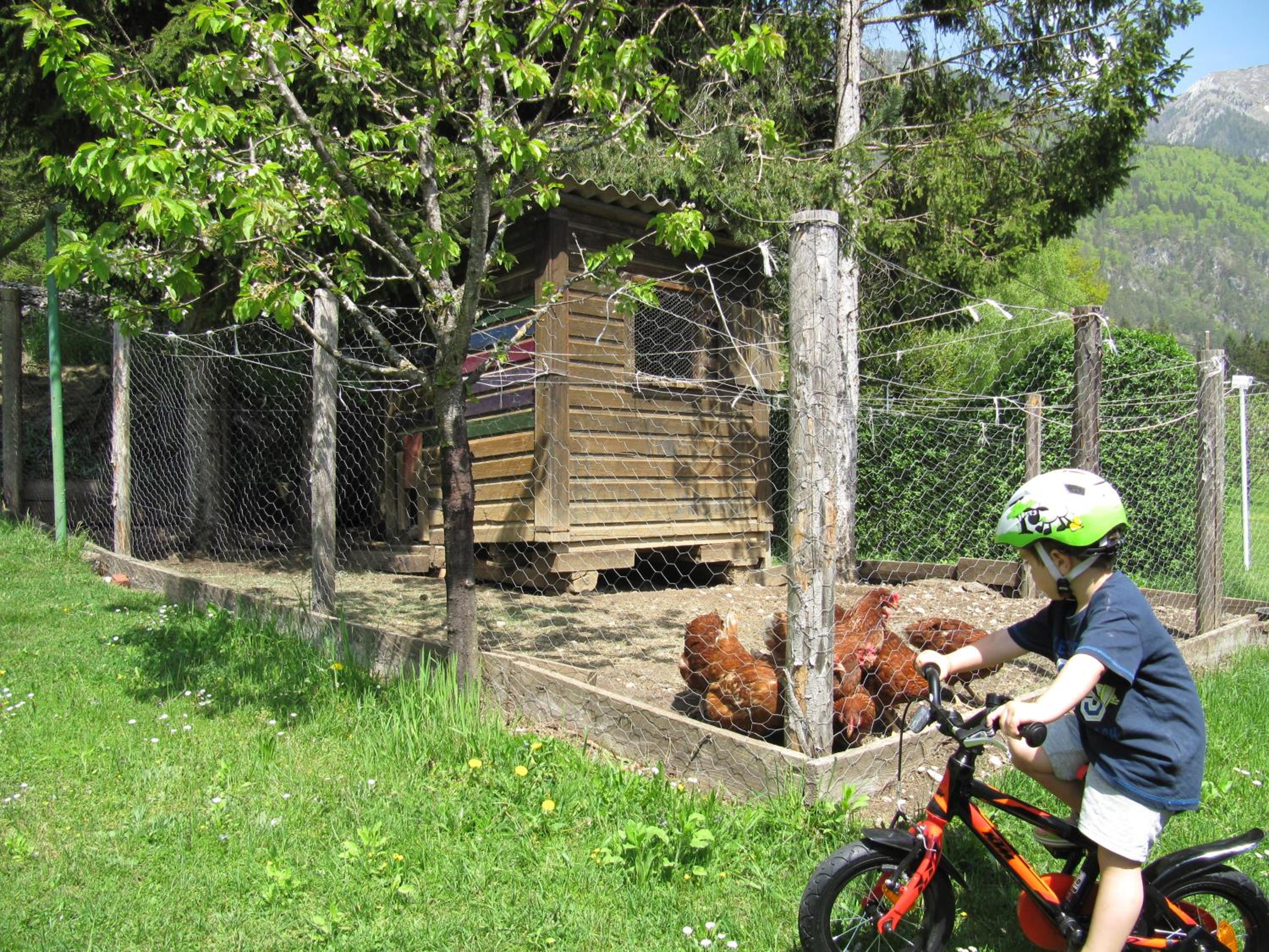 Photo 25