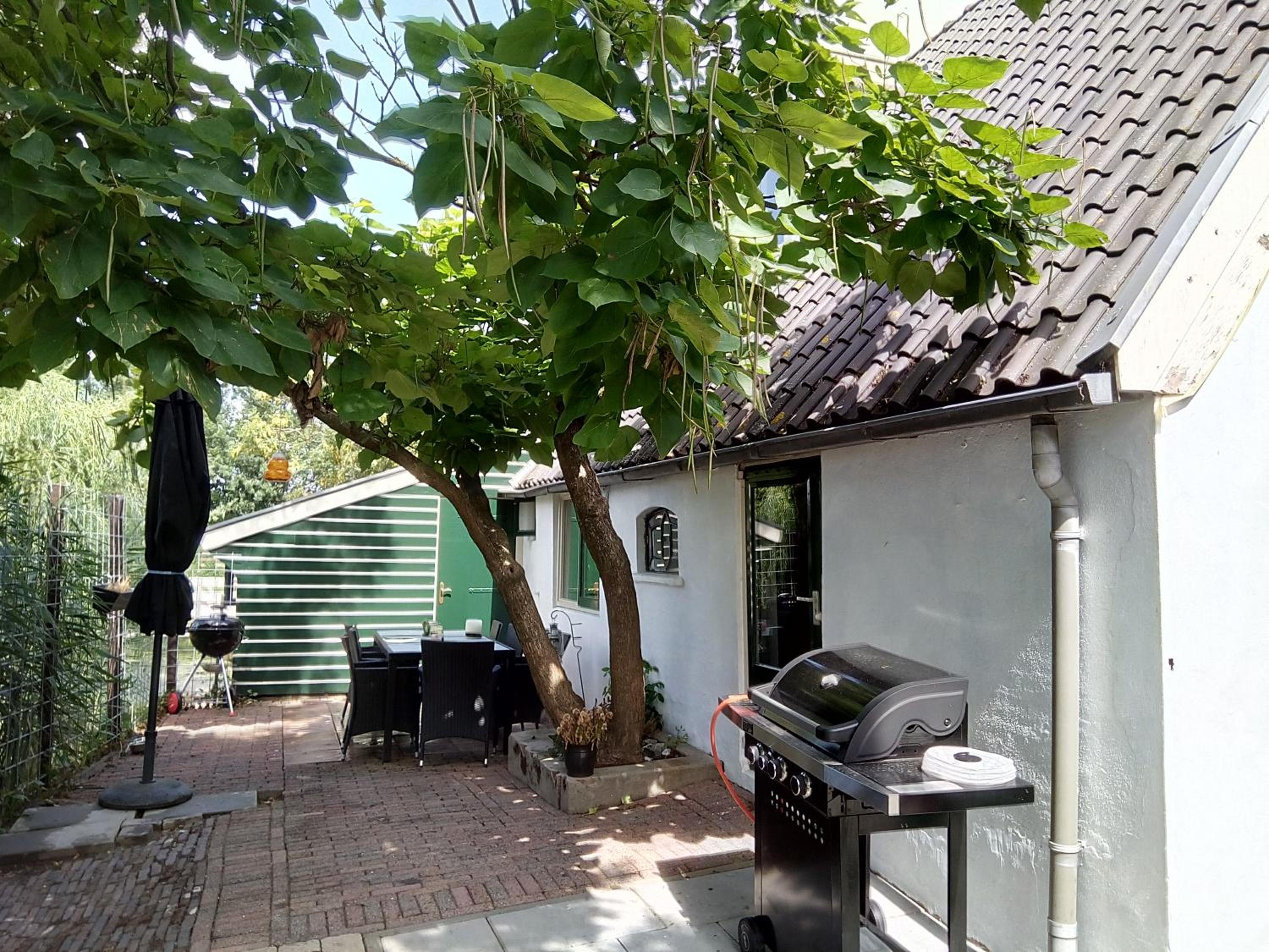 Photo 14