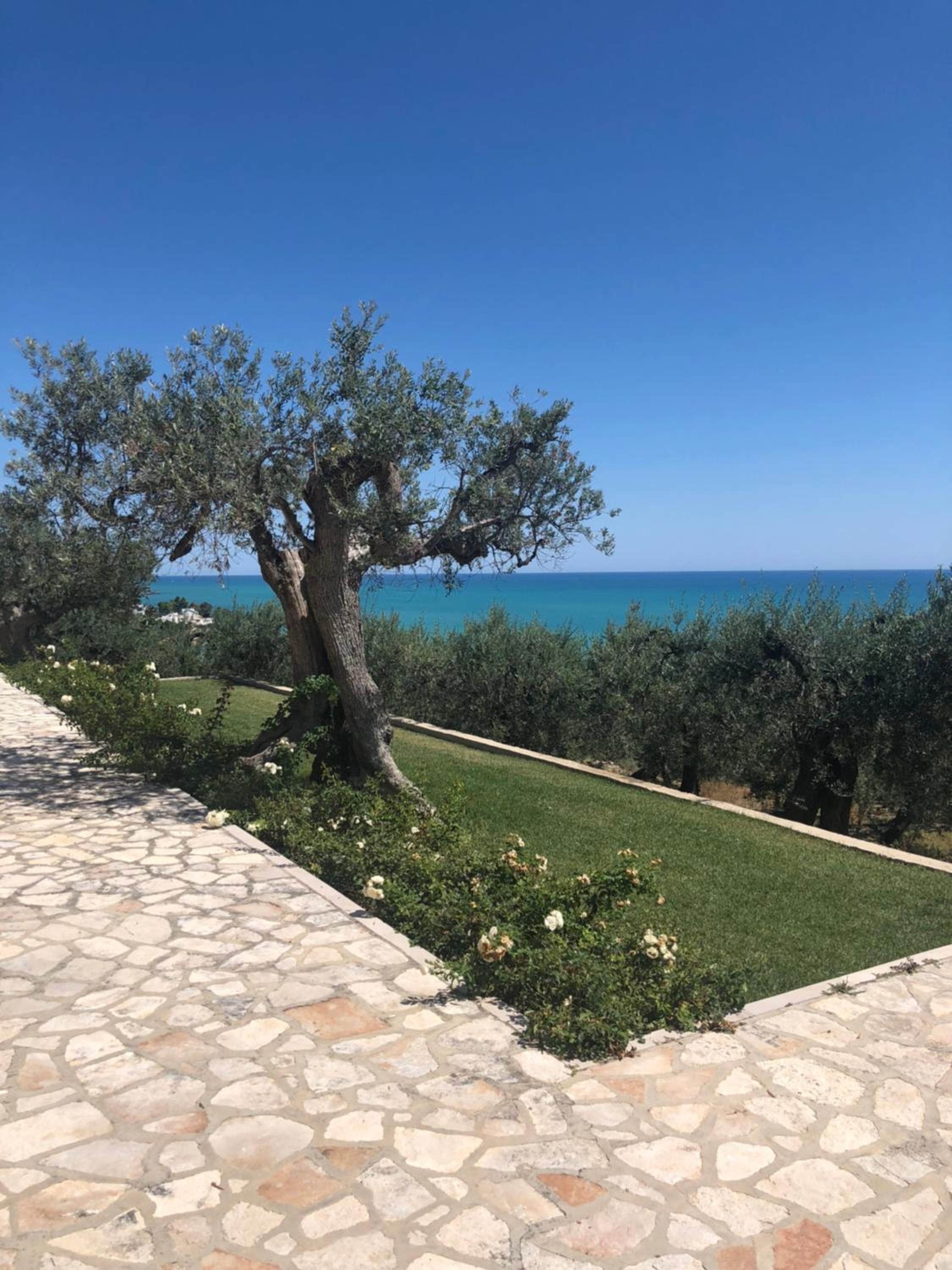 Villa Sami view 4