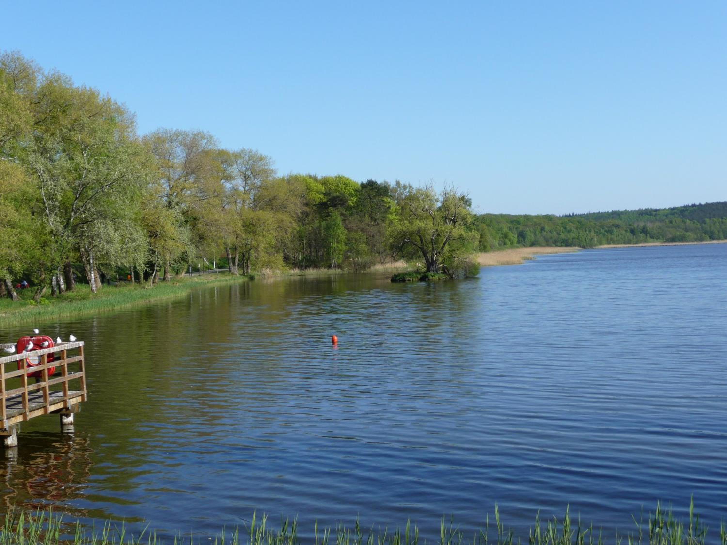Ruhige Auszeit zu zweit - Radfahrer & Strandliebhaber I Usedom Ferienwohnungen Tannengrund view 4