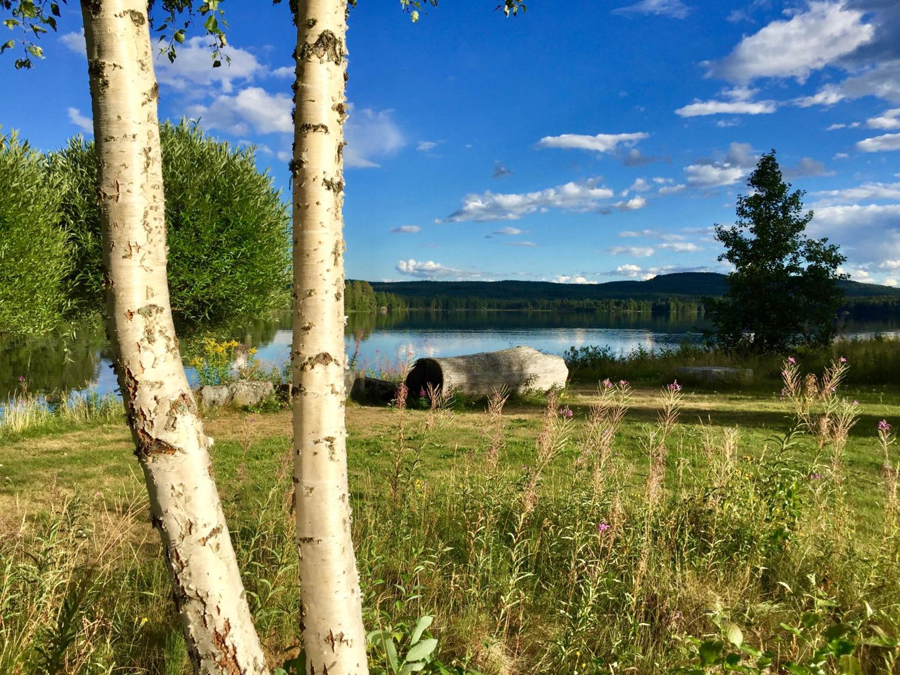 THE LODGE Torsby