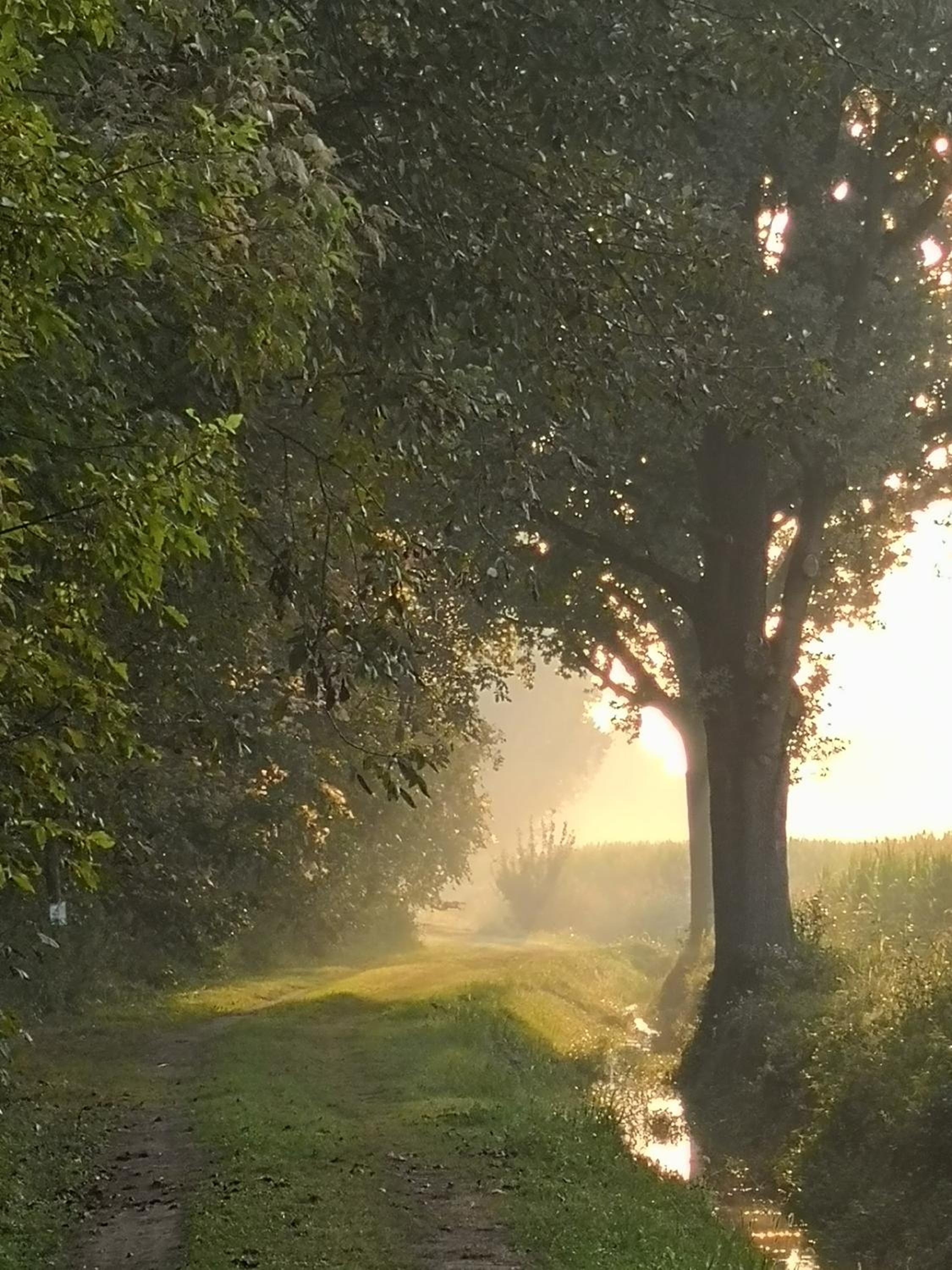 Agriturismo Tenuta 