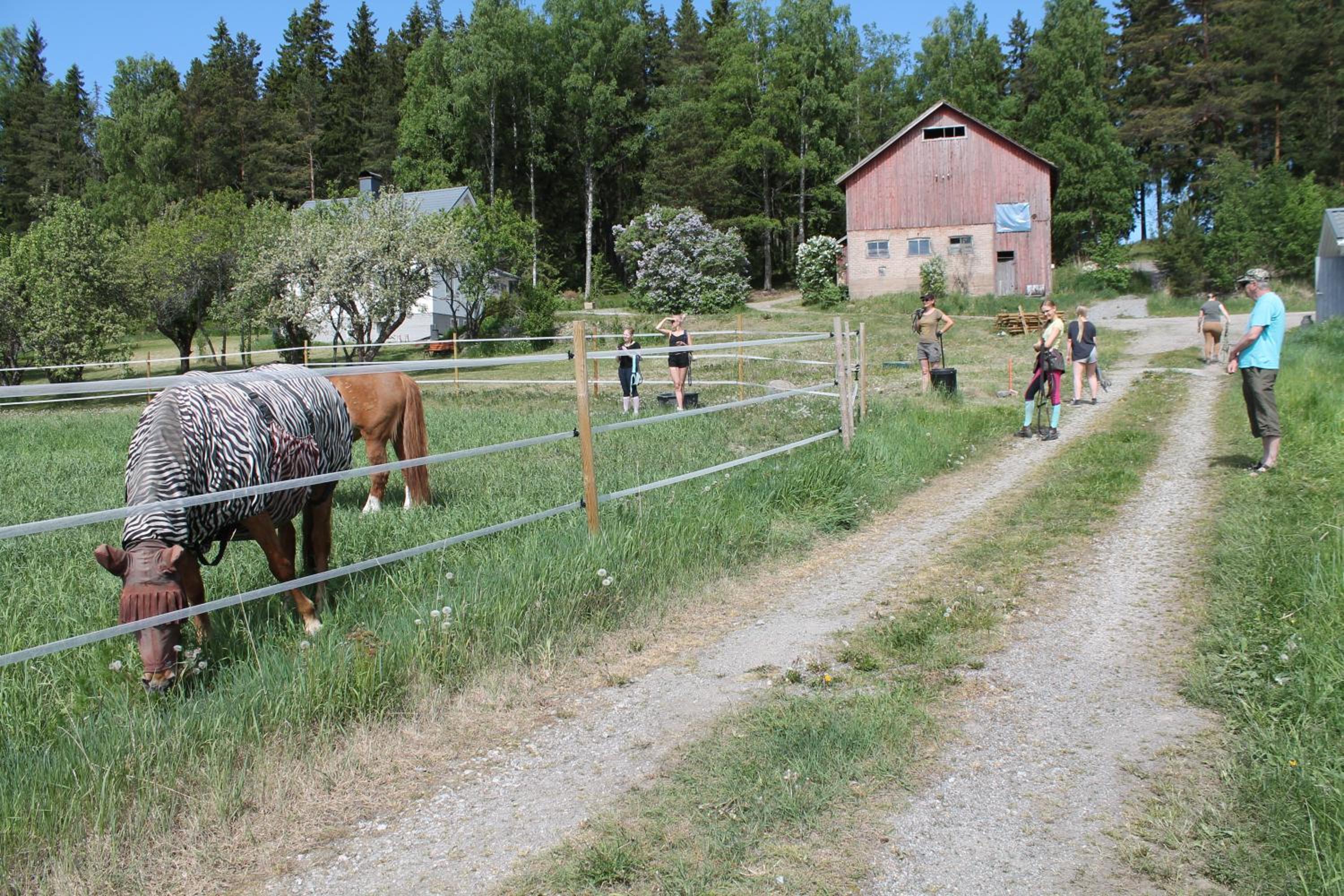 Hännilän Tila view 3