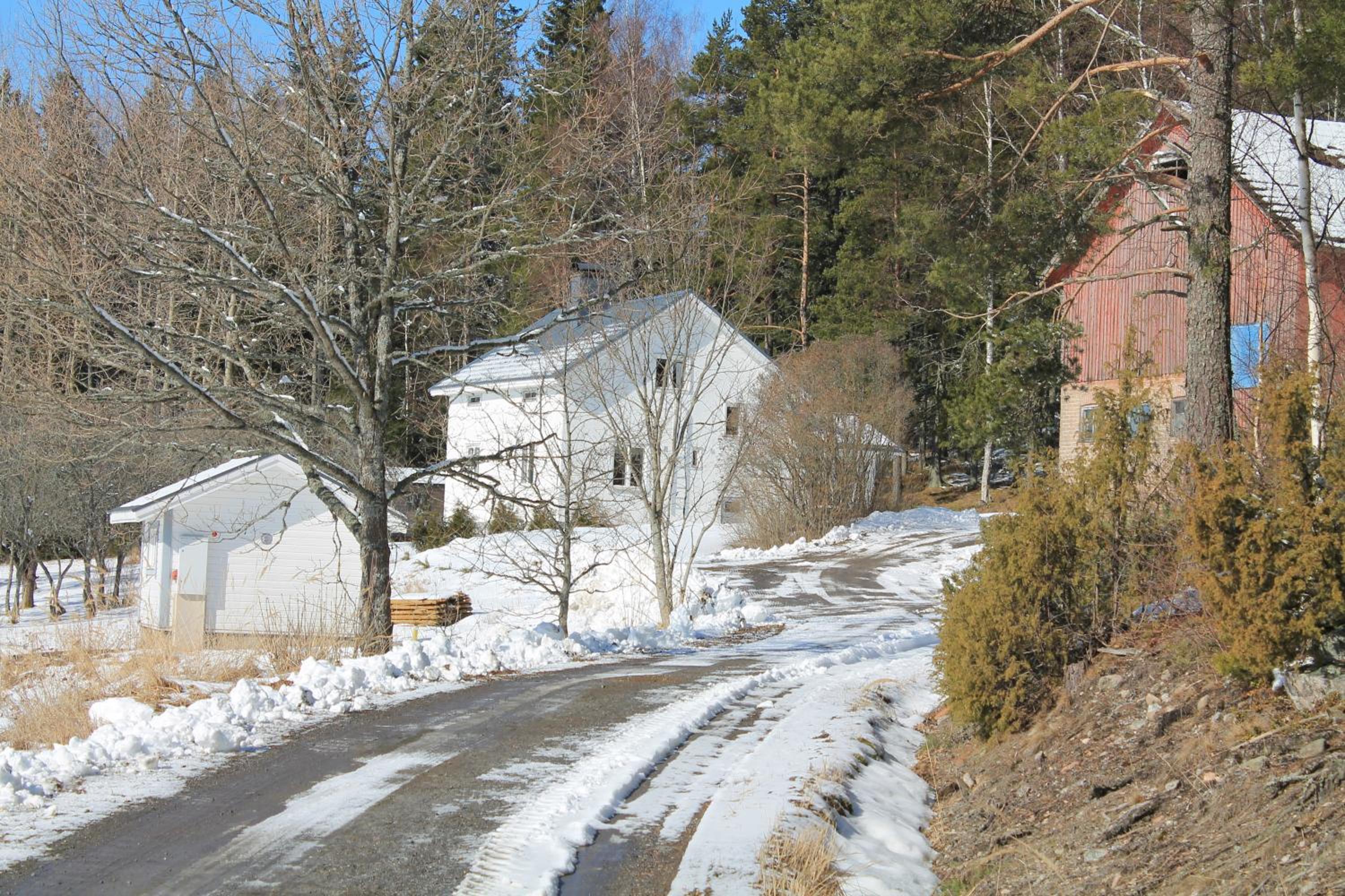 Photo 10
