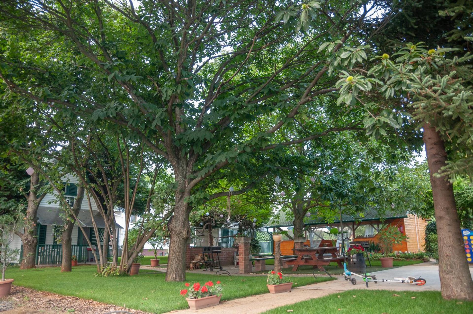 Photo 33