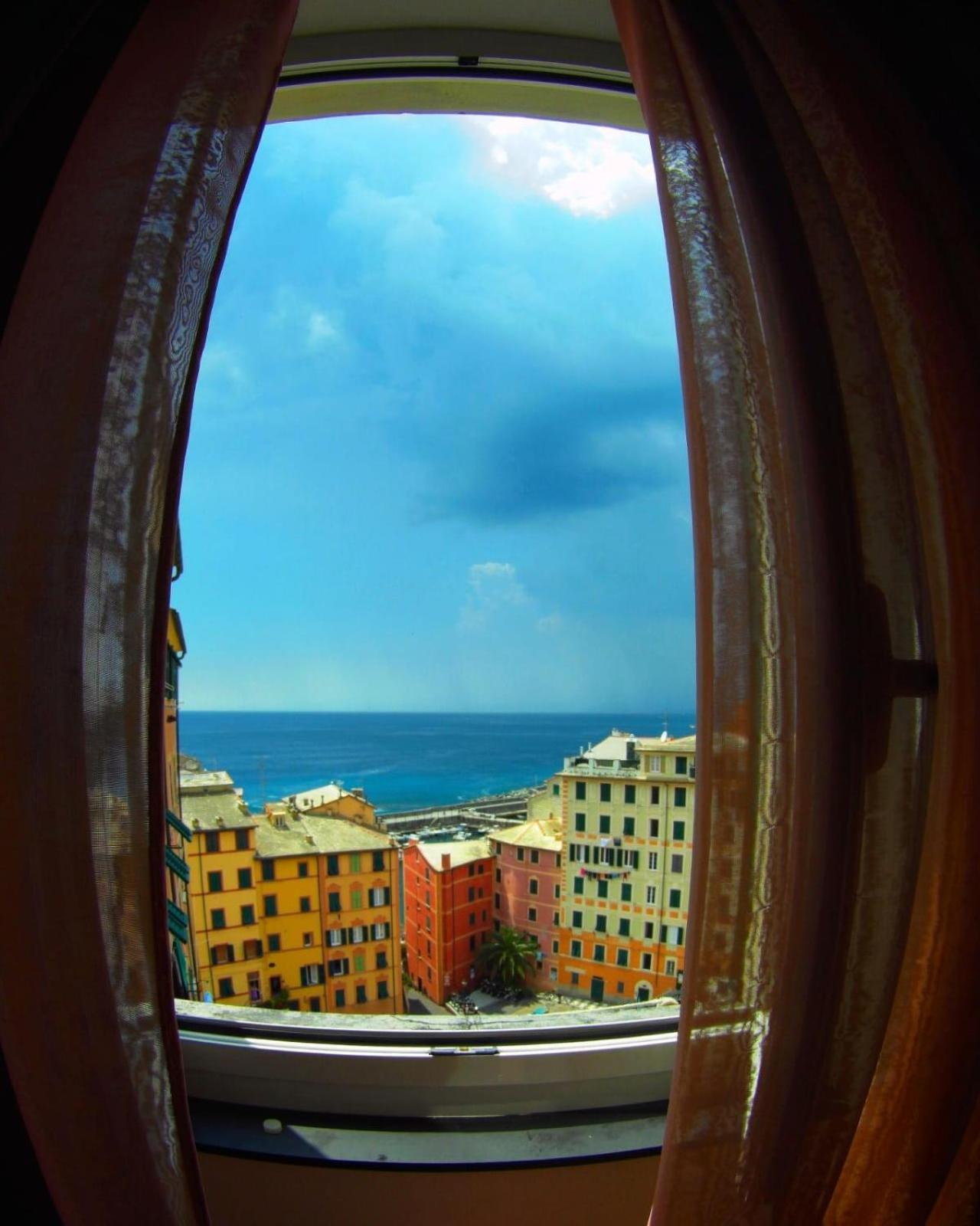 House Camogli