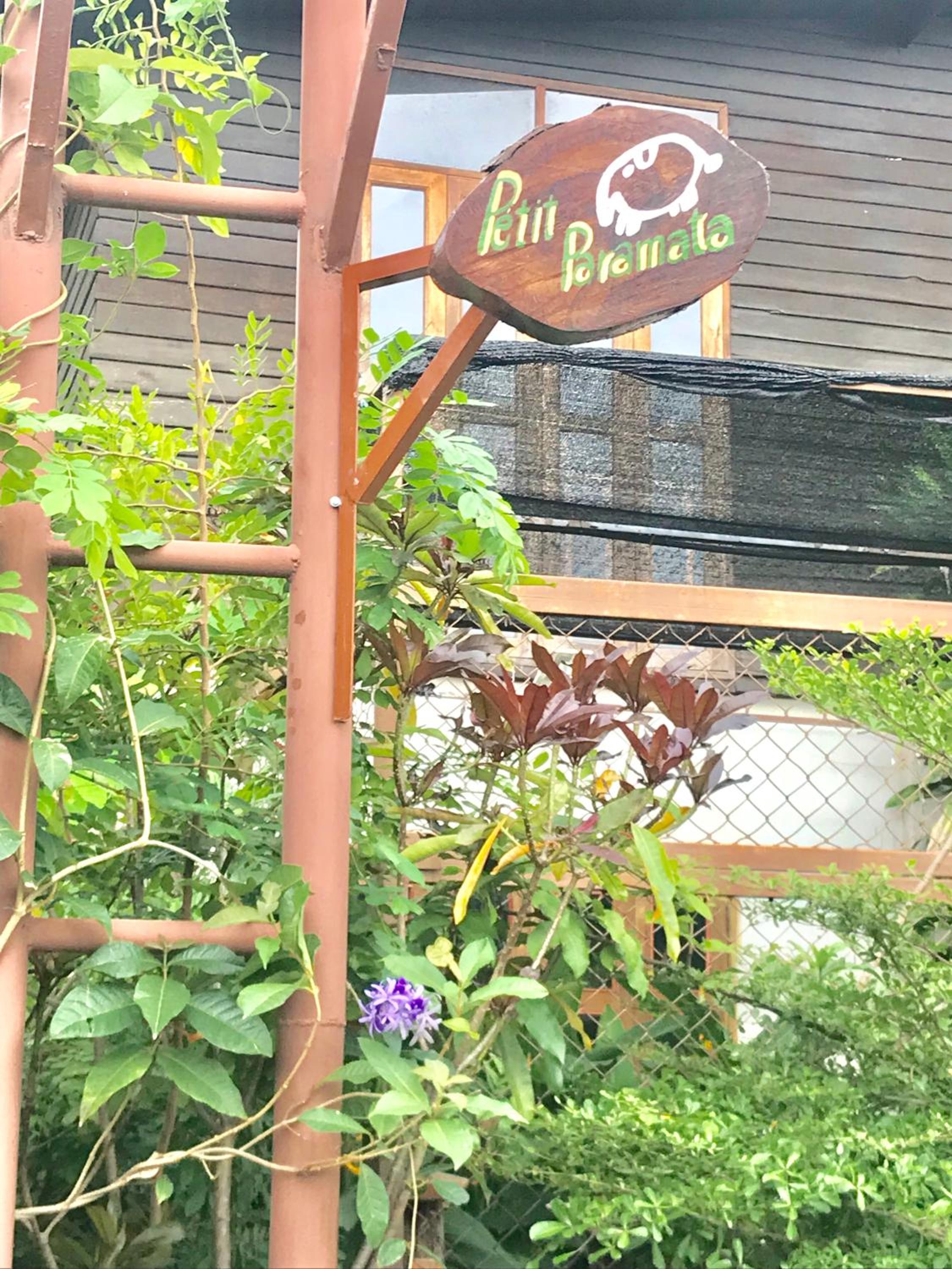 Petit Paramata view 3
