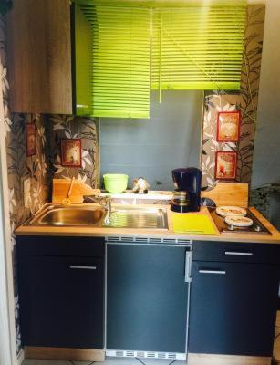 Gemütliche Ferienwohnung im Thüringer Wald, nahe des Rennsteigs - pure Erholung view 3